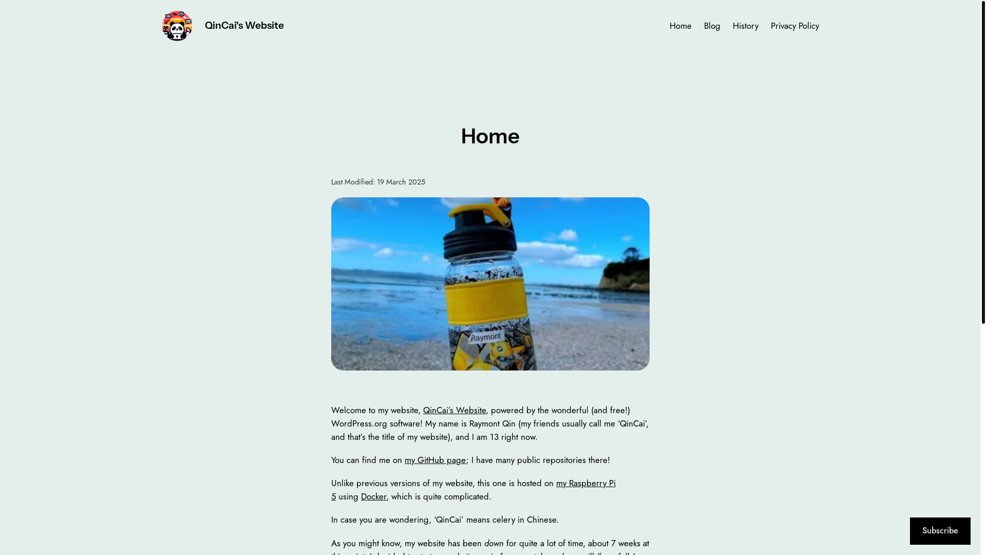 website screenshot of https://qincai.xyz/
