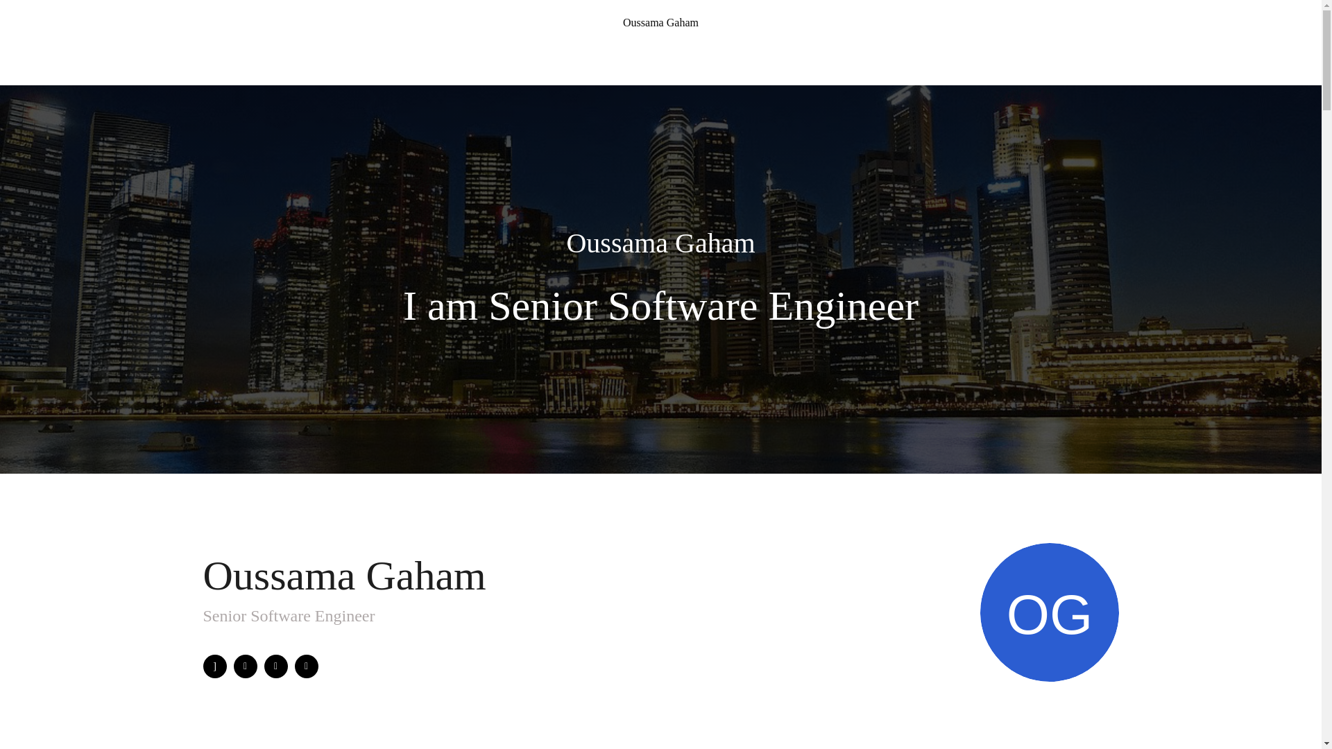 website screenshot of https://oussamagaham.bio/