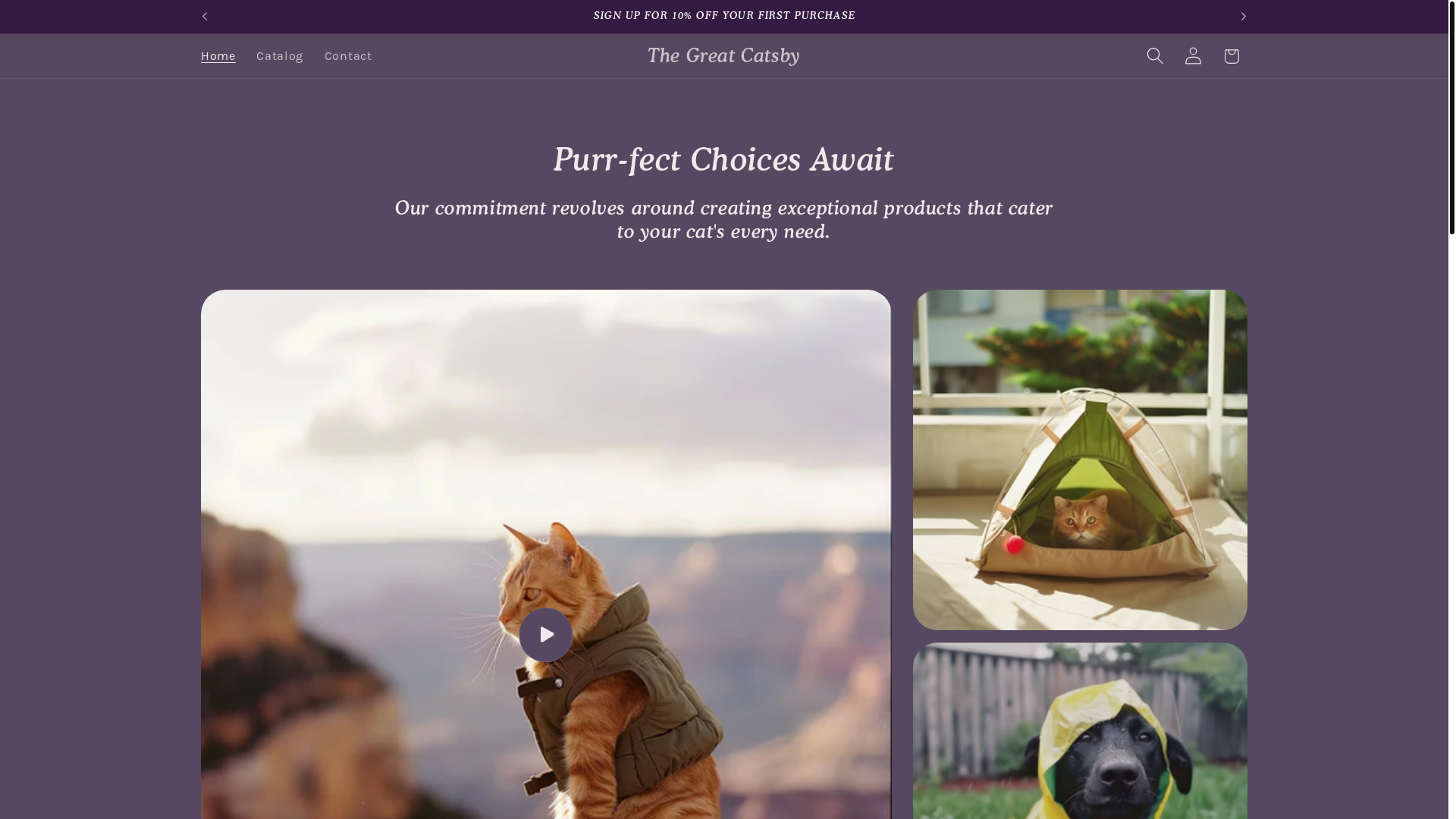 website screenshot of https://thegreatcatsby.store/
