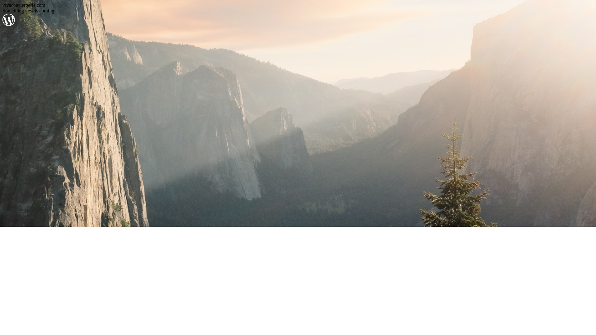 website screenshot of https://vivaconciergerie.com/