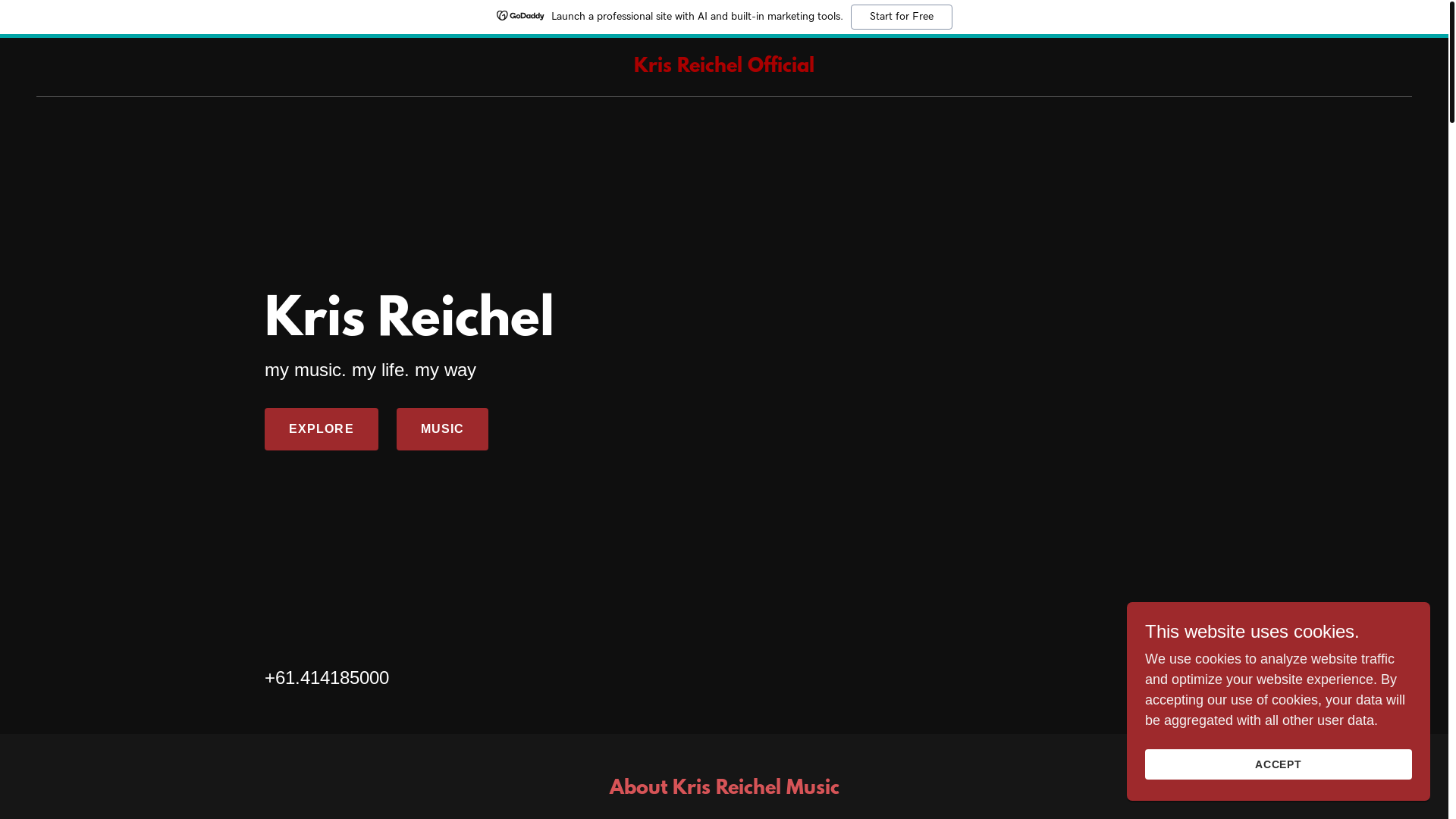 website screenshot of https://krisreichelmusic.com/