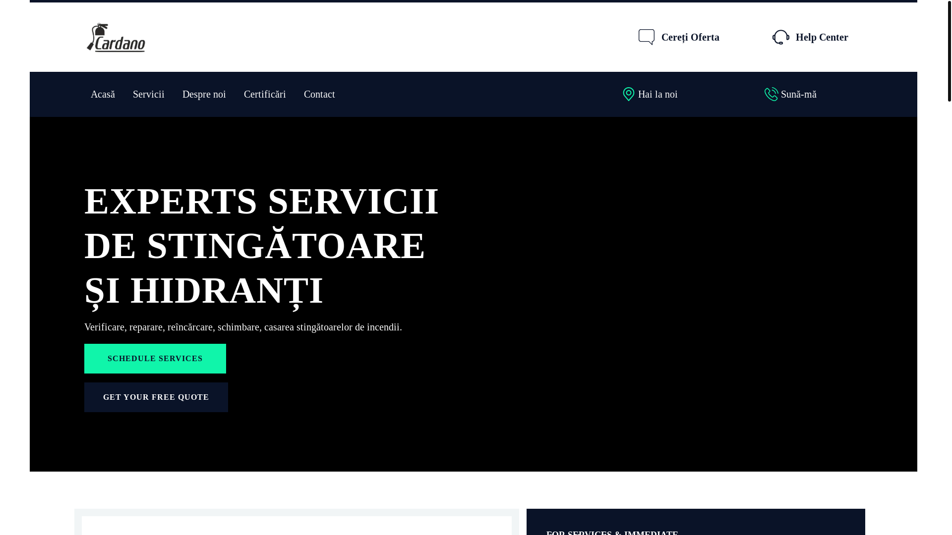 website screenshot of https://servicestingator.ro/
