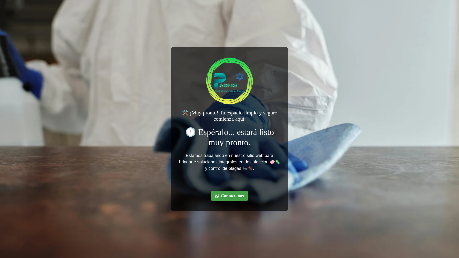 website screenshot of https://parperhn.com/