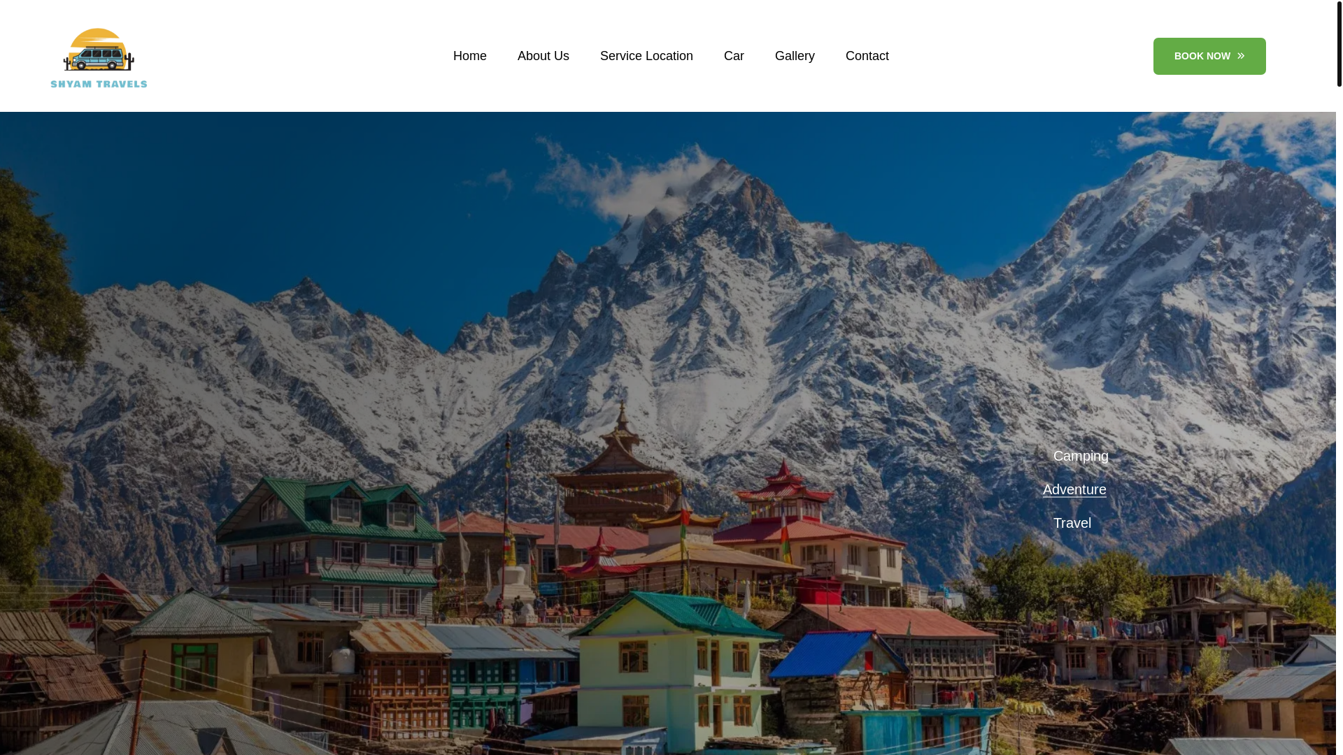 website screenshot of https://shyamjitravels.com/