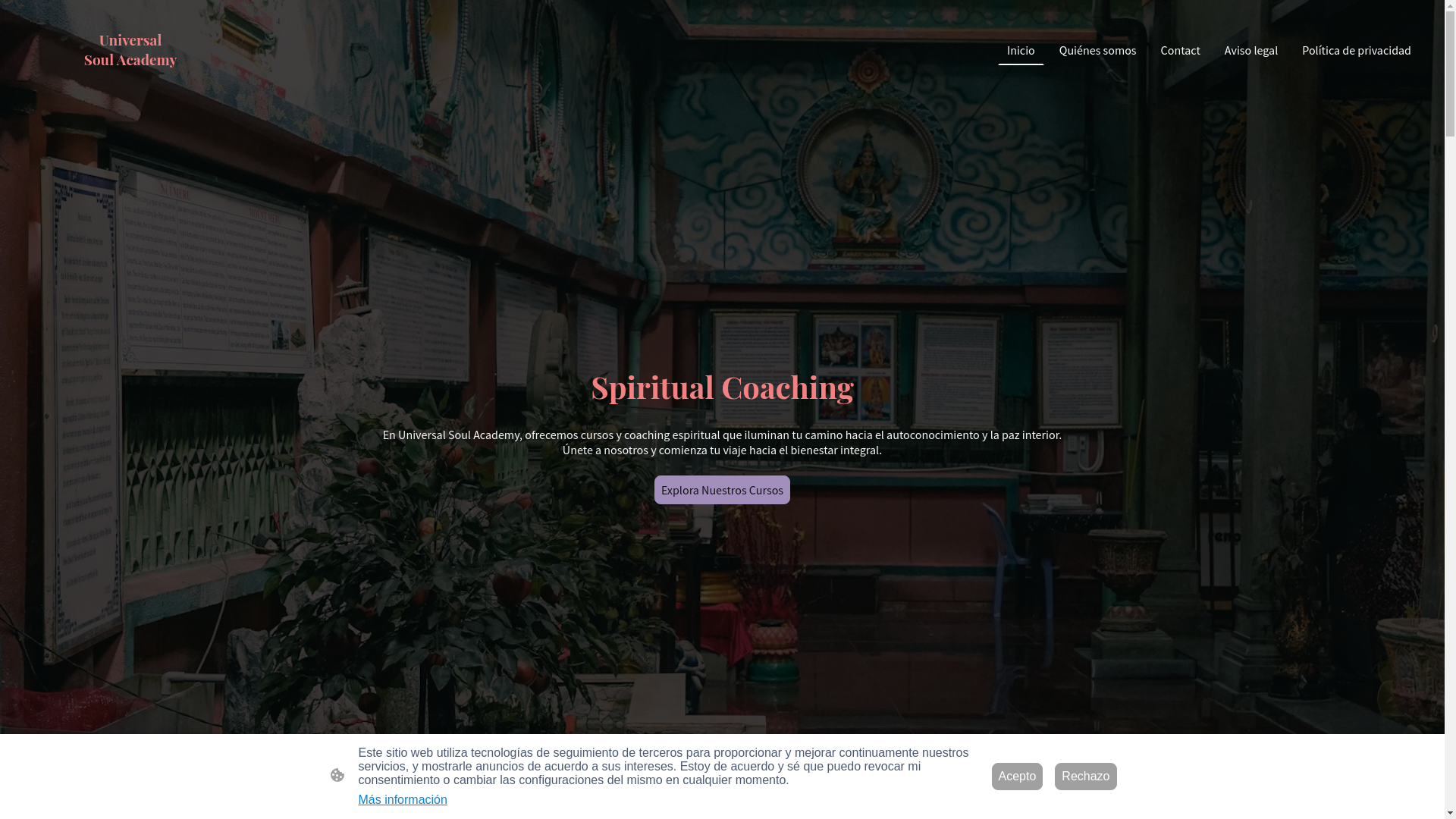 website screenshot of https://universalsoulsacademy.com/