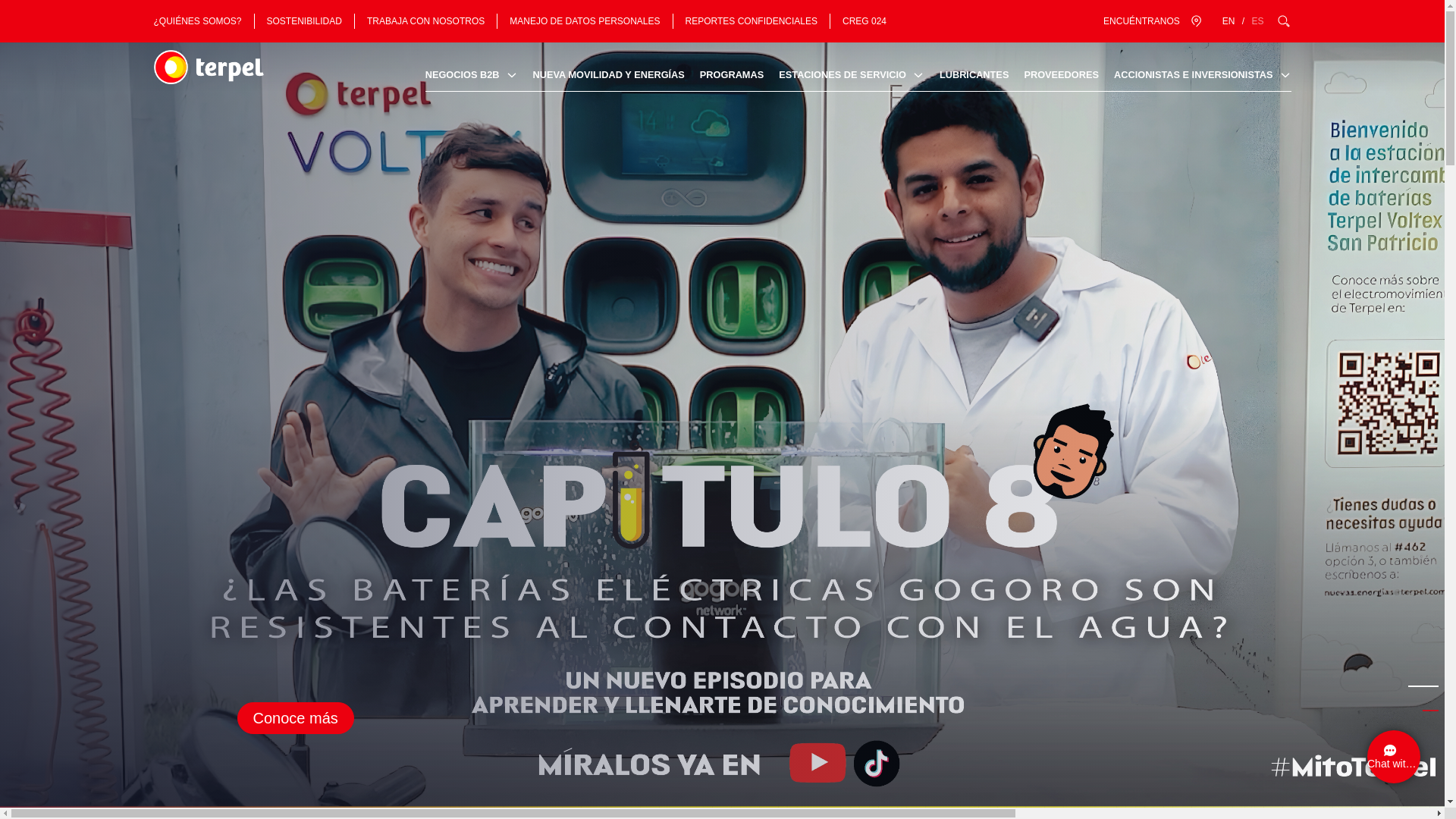 website screenshot of https://terpelxb.click/