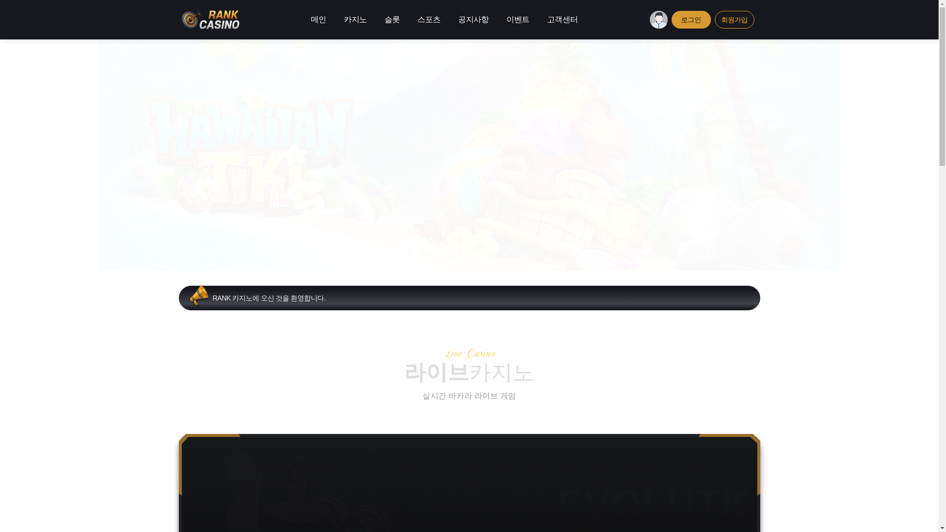 website screenshot of https://vag313.com/