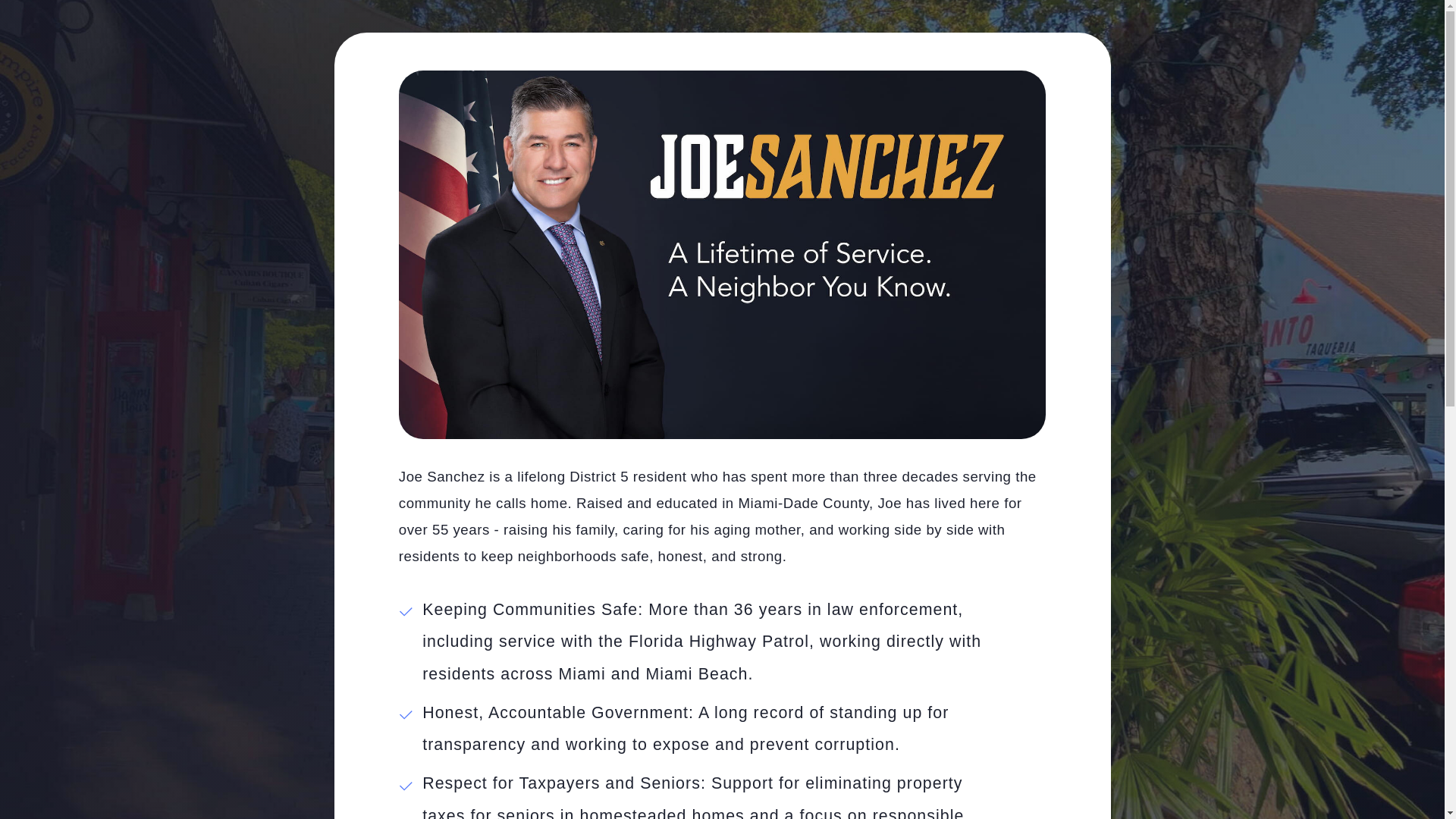 website screenshot of https://joesanchezmiamidade.com/