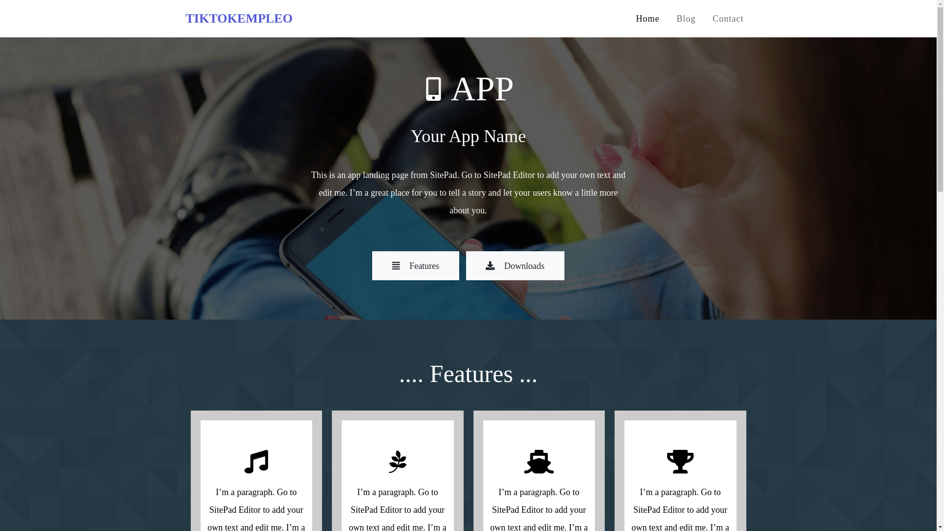 website screenshot of https://tiktokempleo.com/