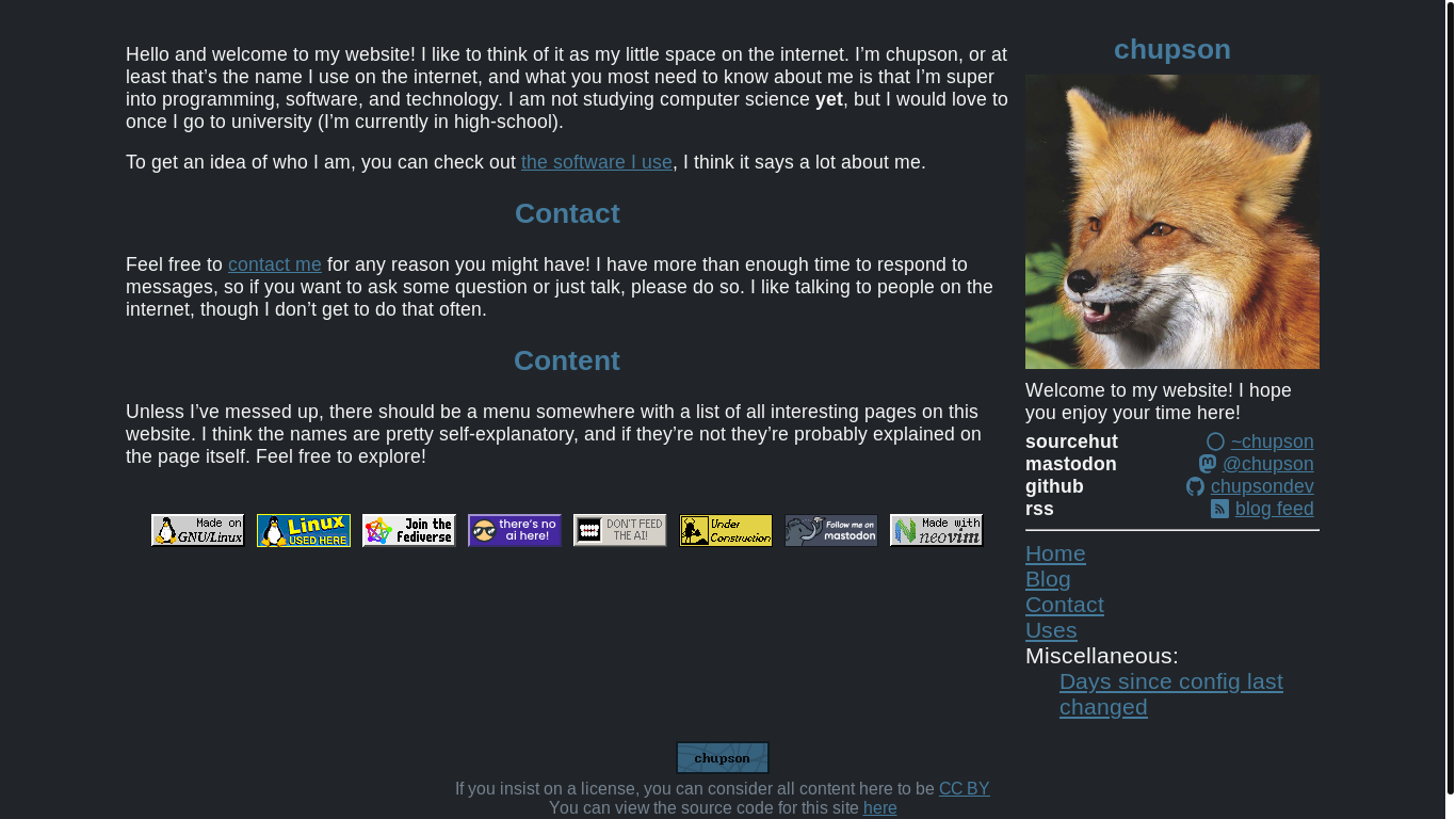 website screenshot of https://chupson.dev/