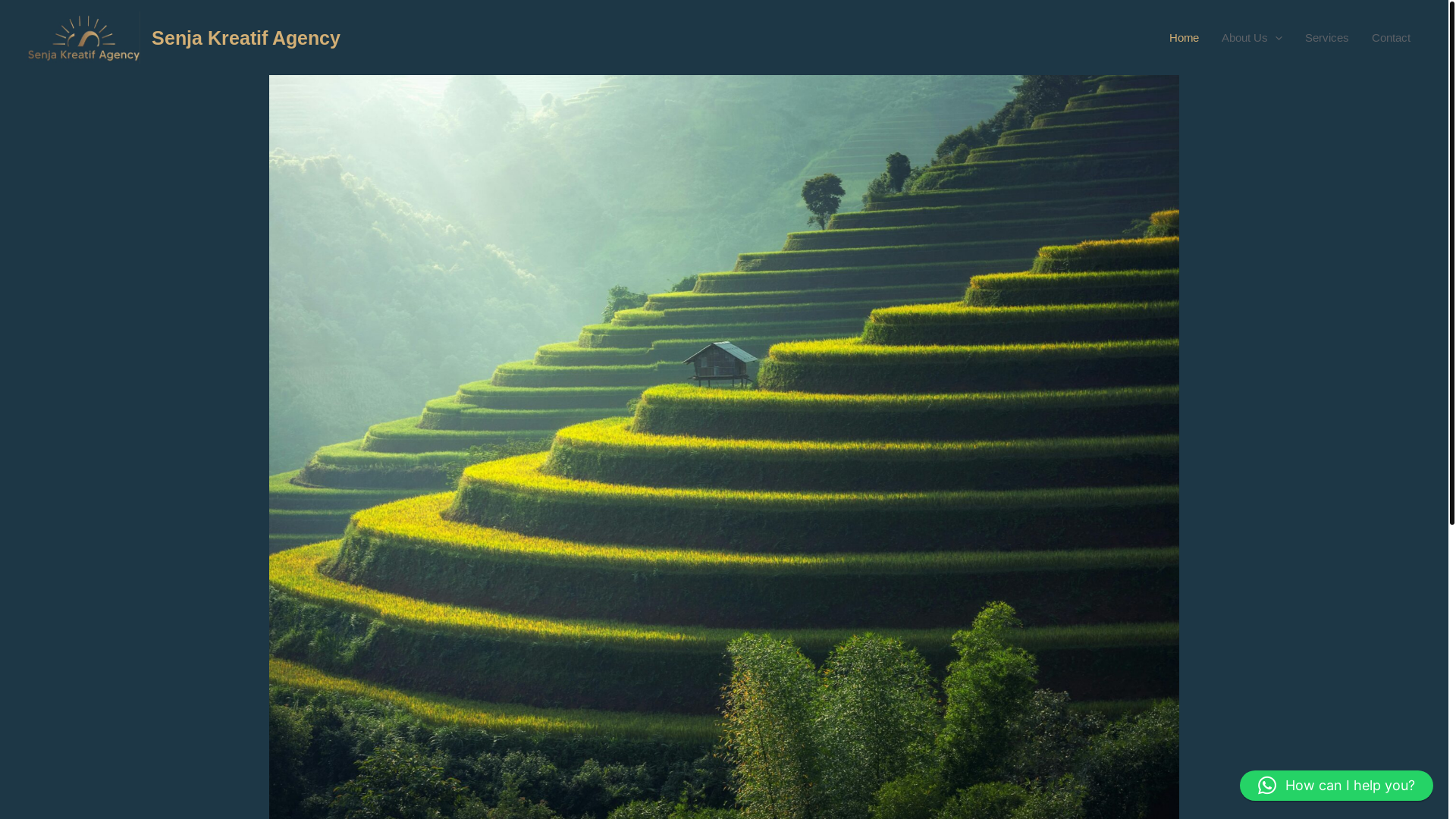 website screenshot of https://agencysenja.com/