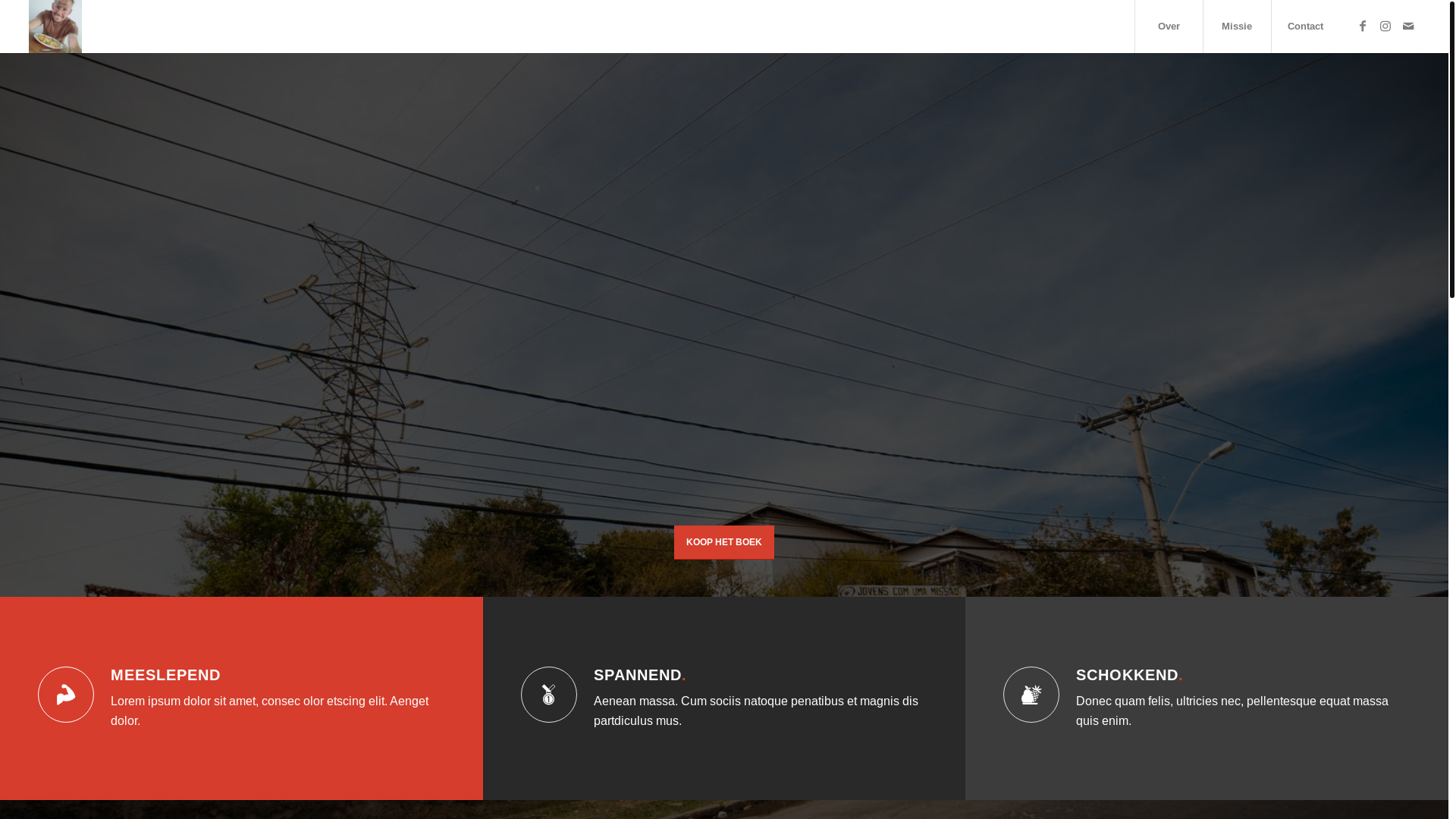 website screenshot of https://brasilvdroodenbeek.nl/