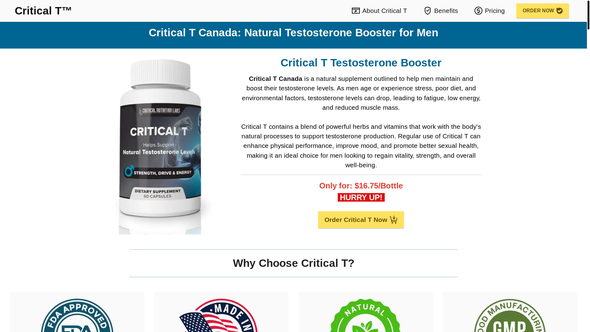 website screenshot of https://critical-t.ca/