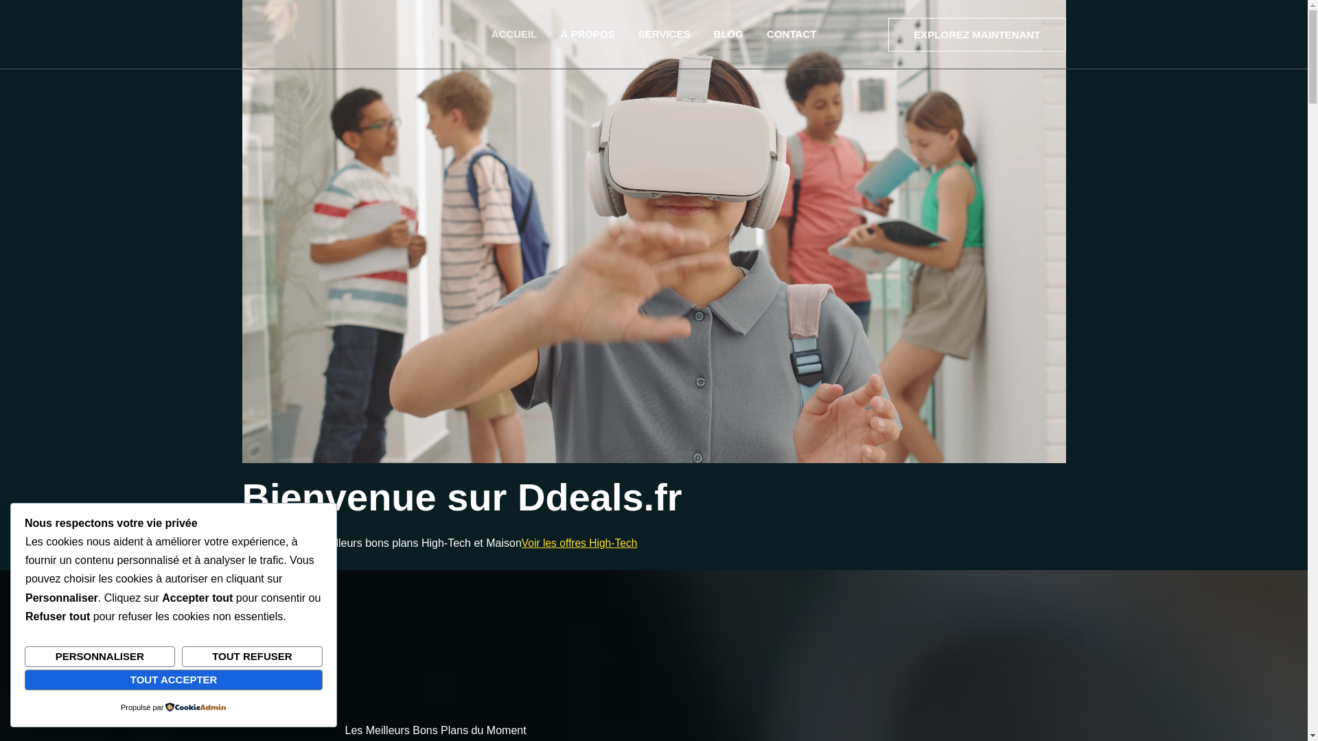 website screenshot of https://www.ddeals.fr/