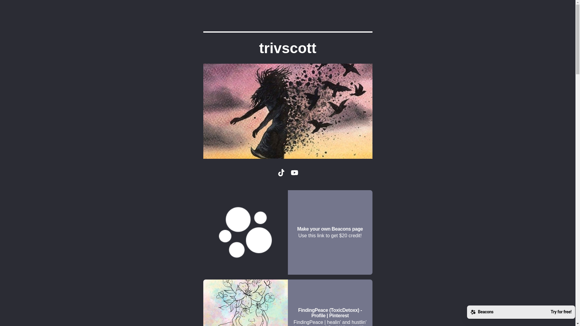 website screenshot of https://trivscott.store/