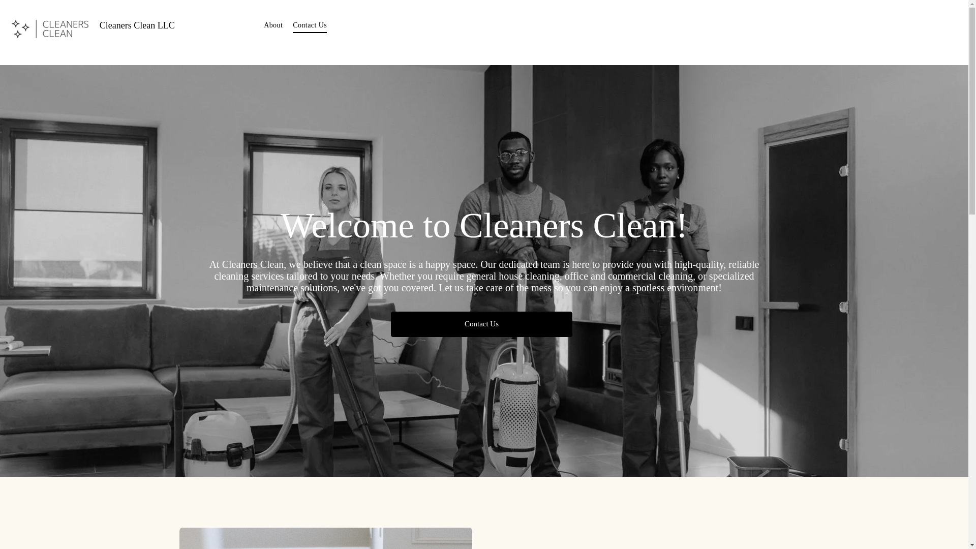 website screenshot of https://cleanerscleanservices.com/