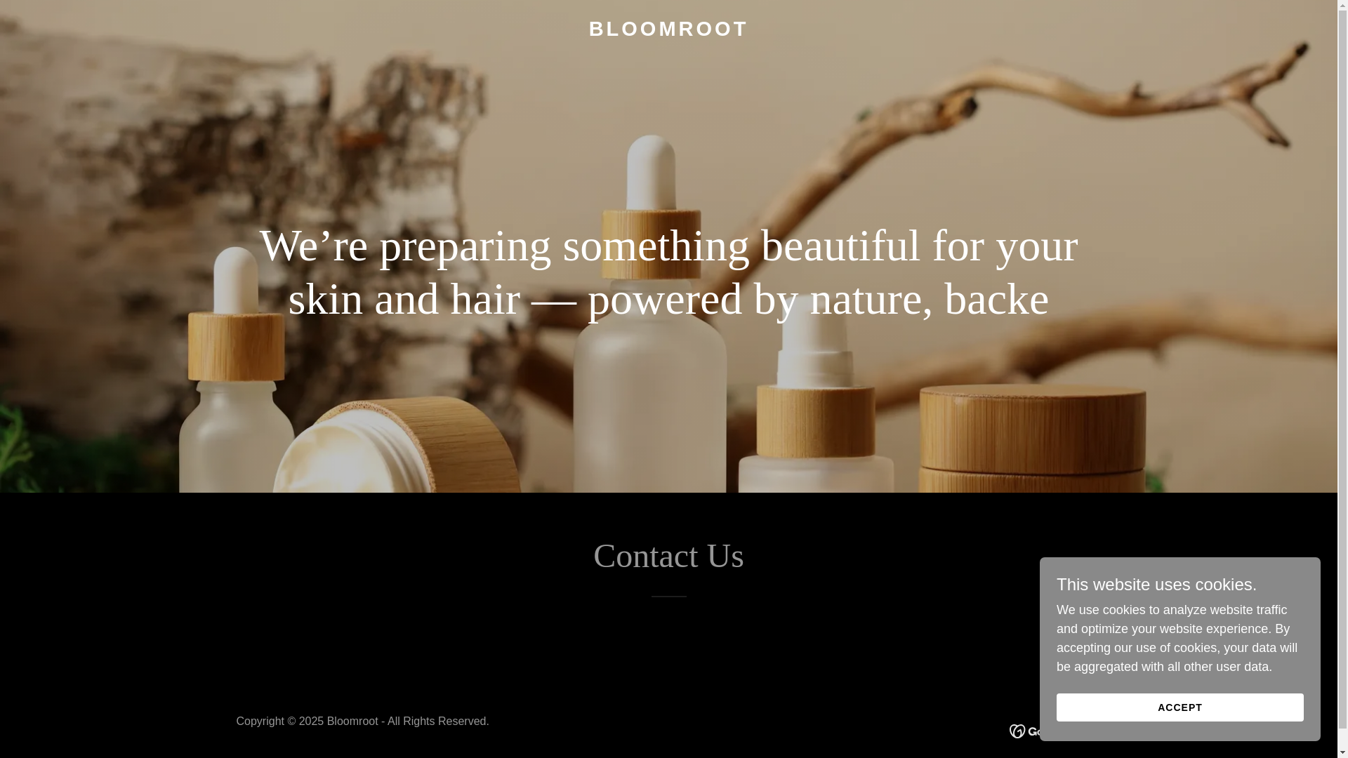 website screenshot of https://bloomroot.in/