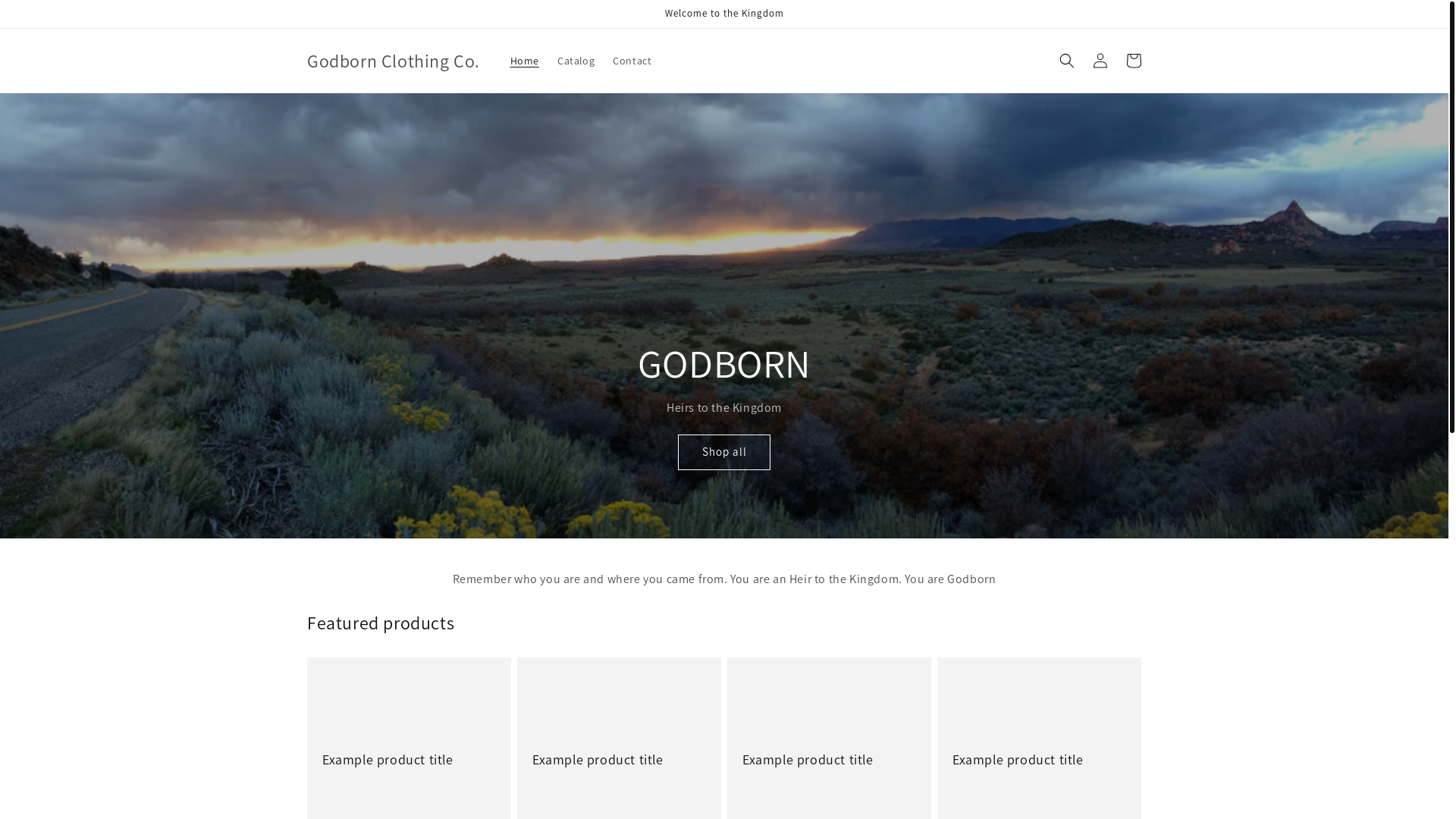 website screenshot of https://godbornclothingco.com/
