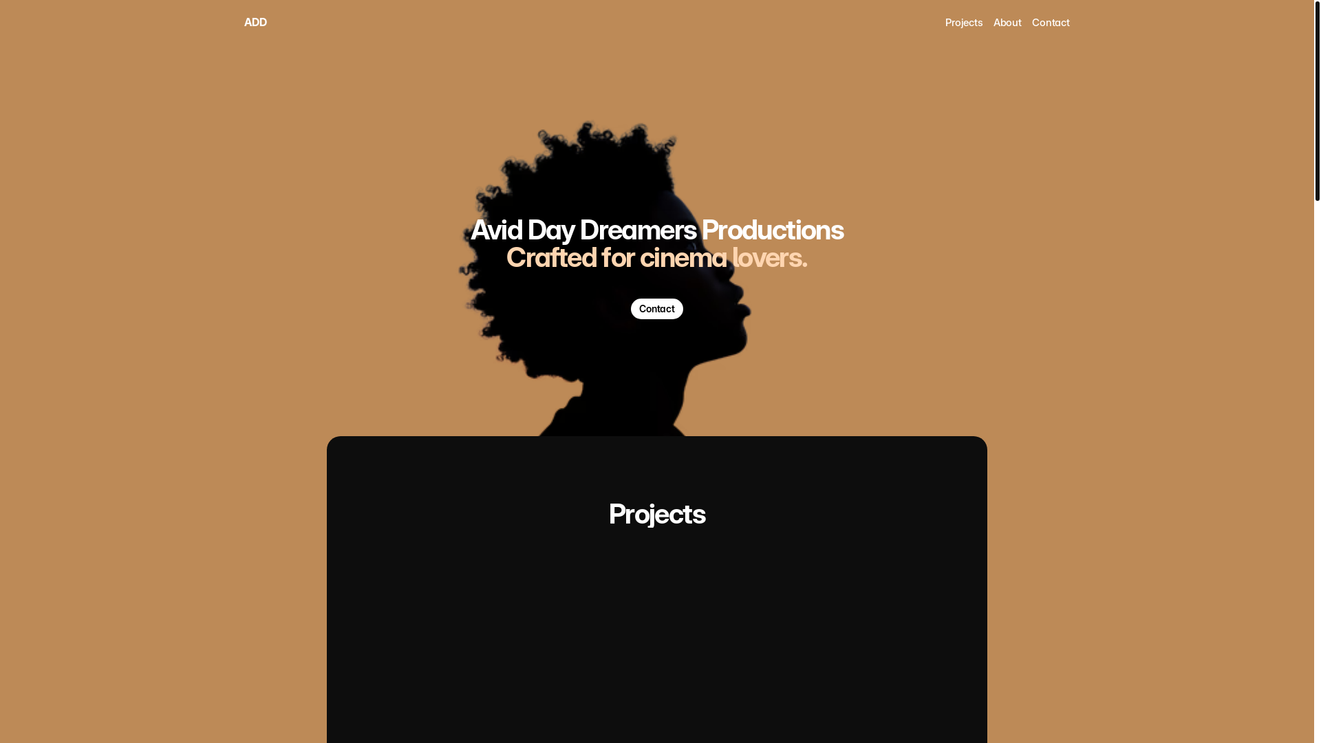 website screenshot of https://aviddaydreamers.com/