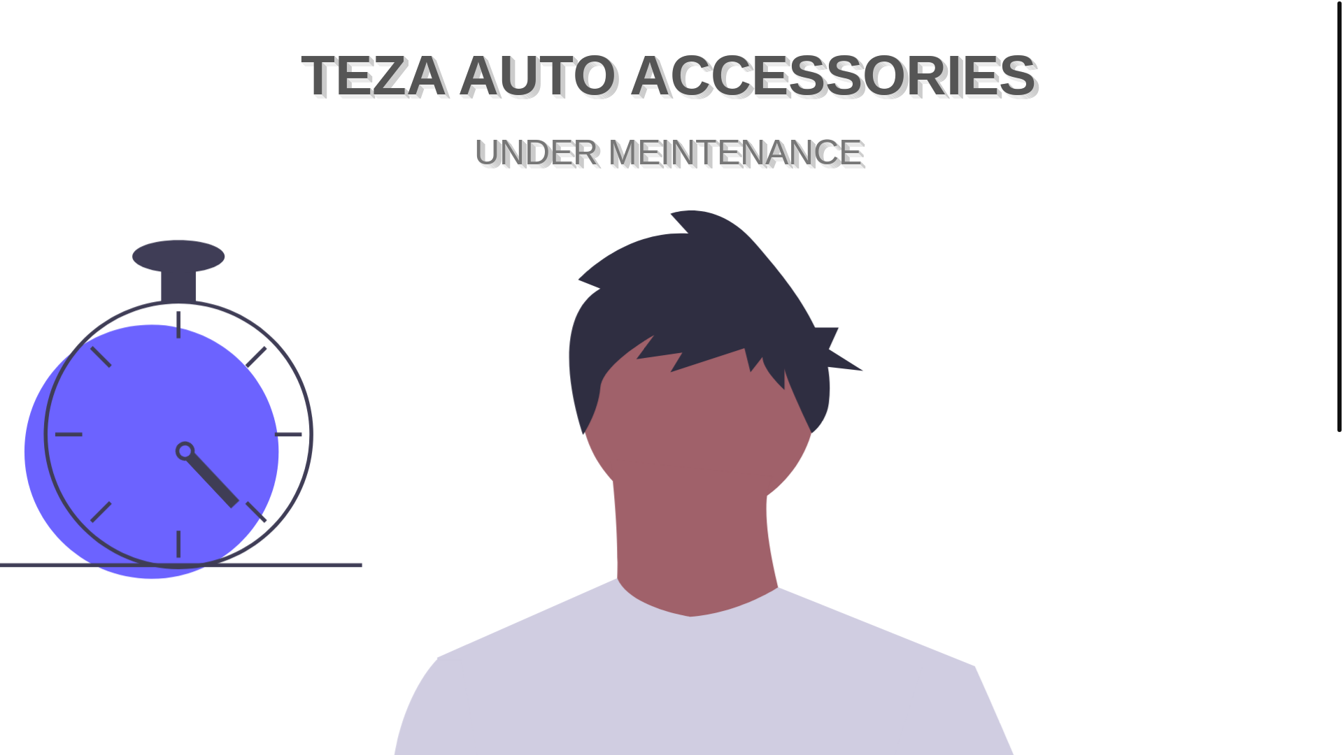 website screenshot of https://tezaauto.com/