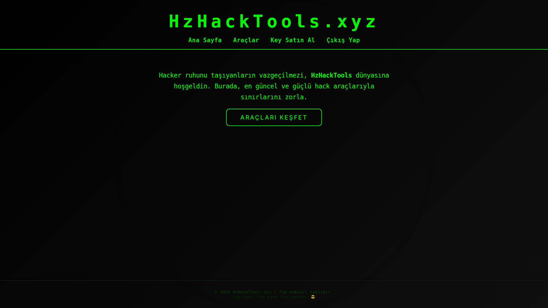 website screenshot of https://hzhacktools.xyz/