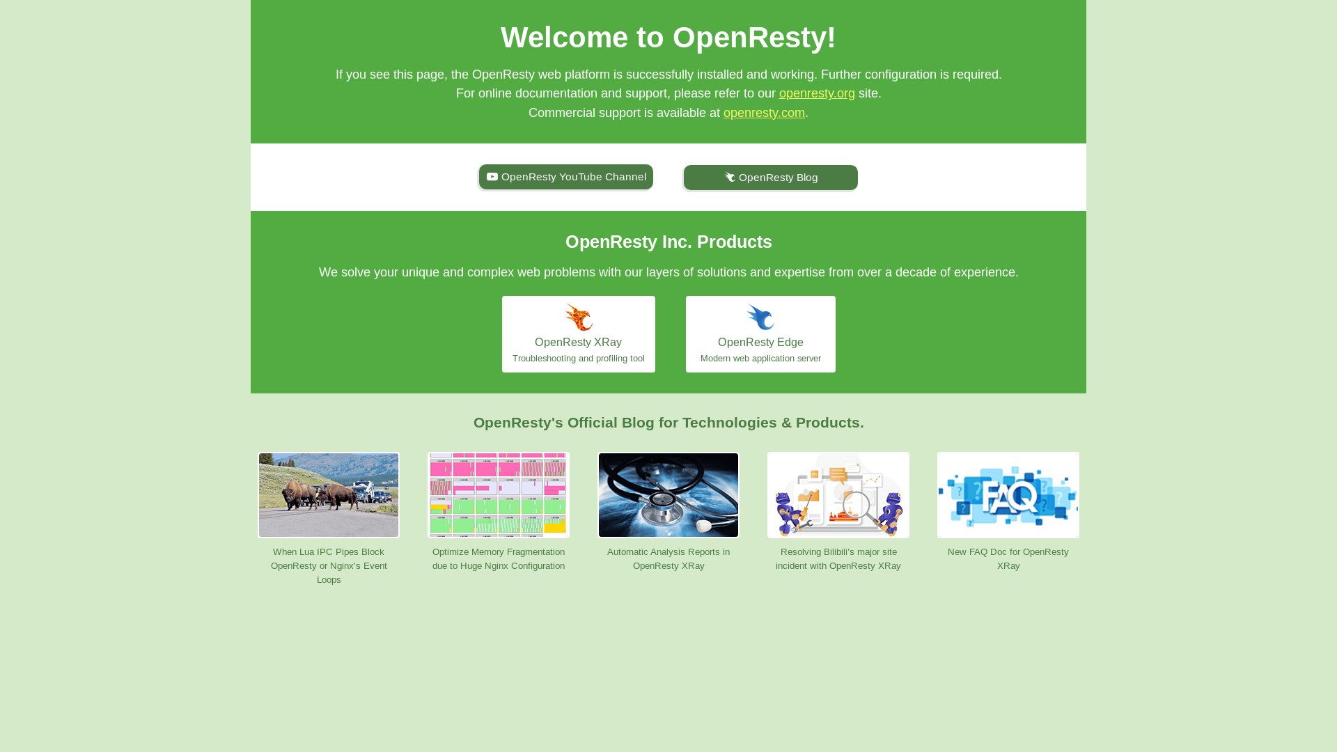 website screenshot of https://s01.hostcontent.live/
