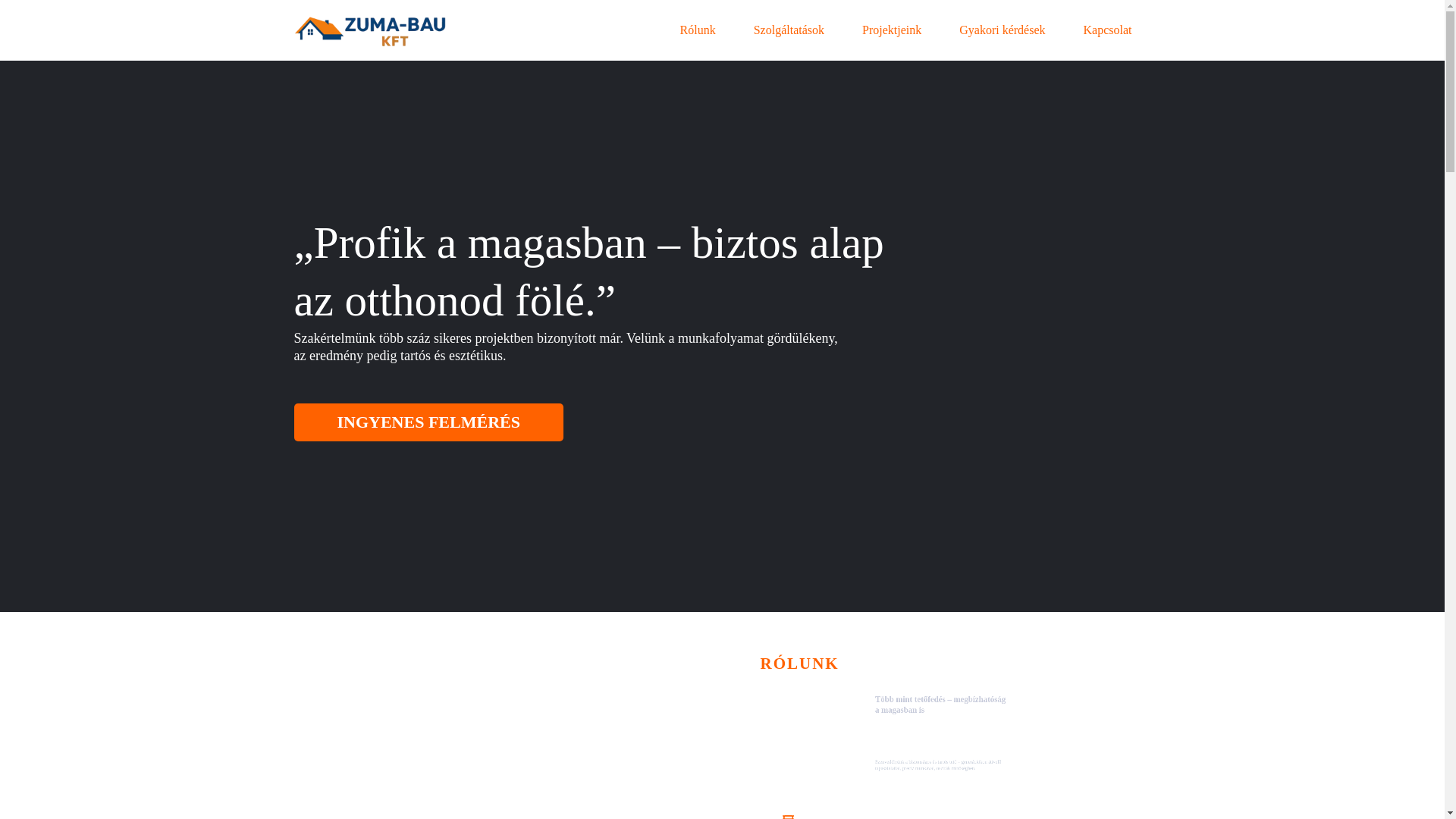 website screenshot of https://zumabau.hu/