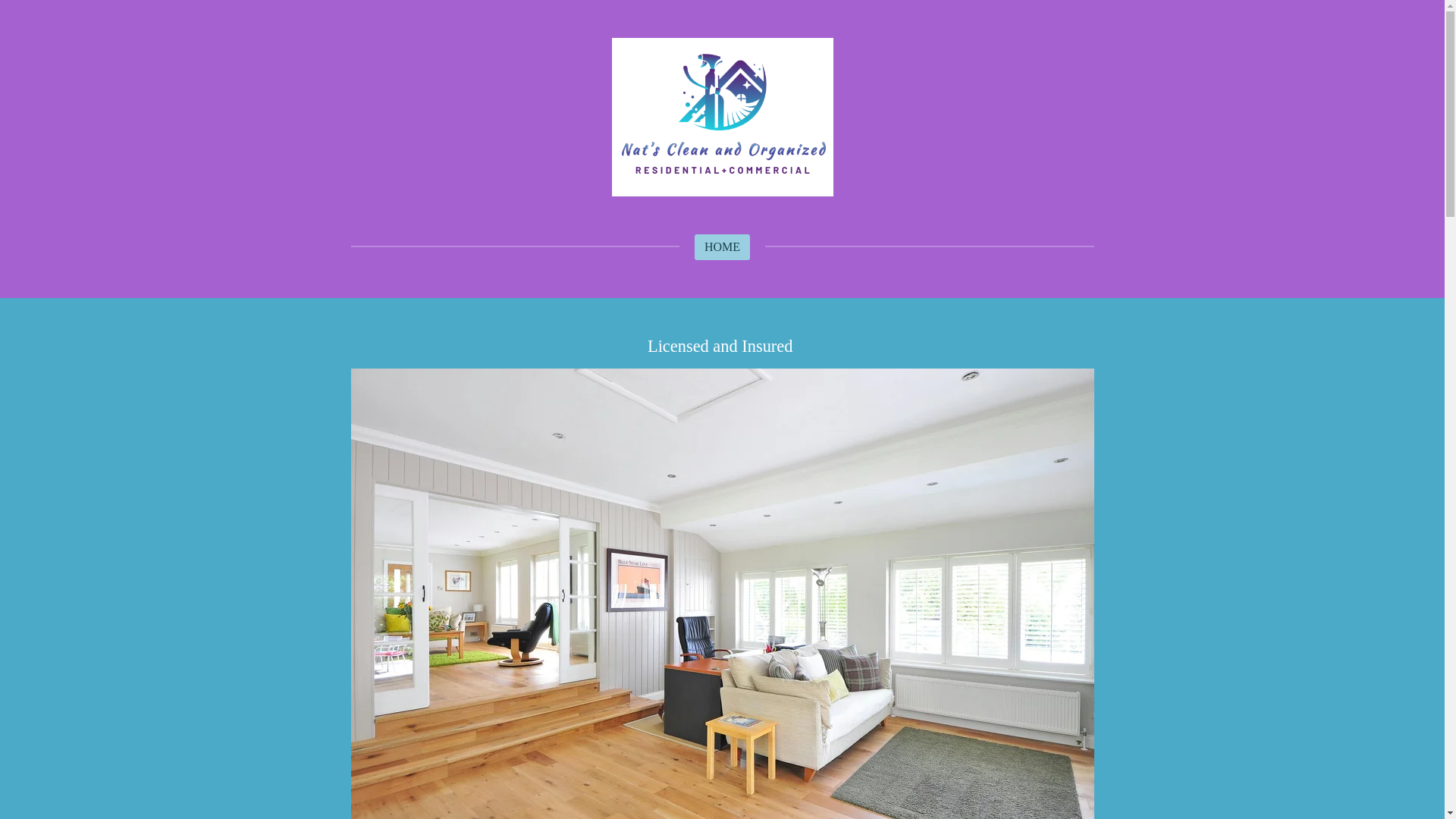 website screenshot of https://natscno.com/