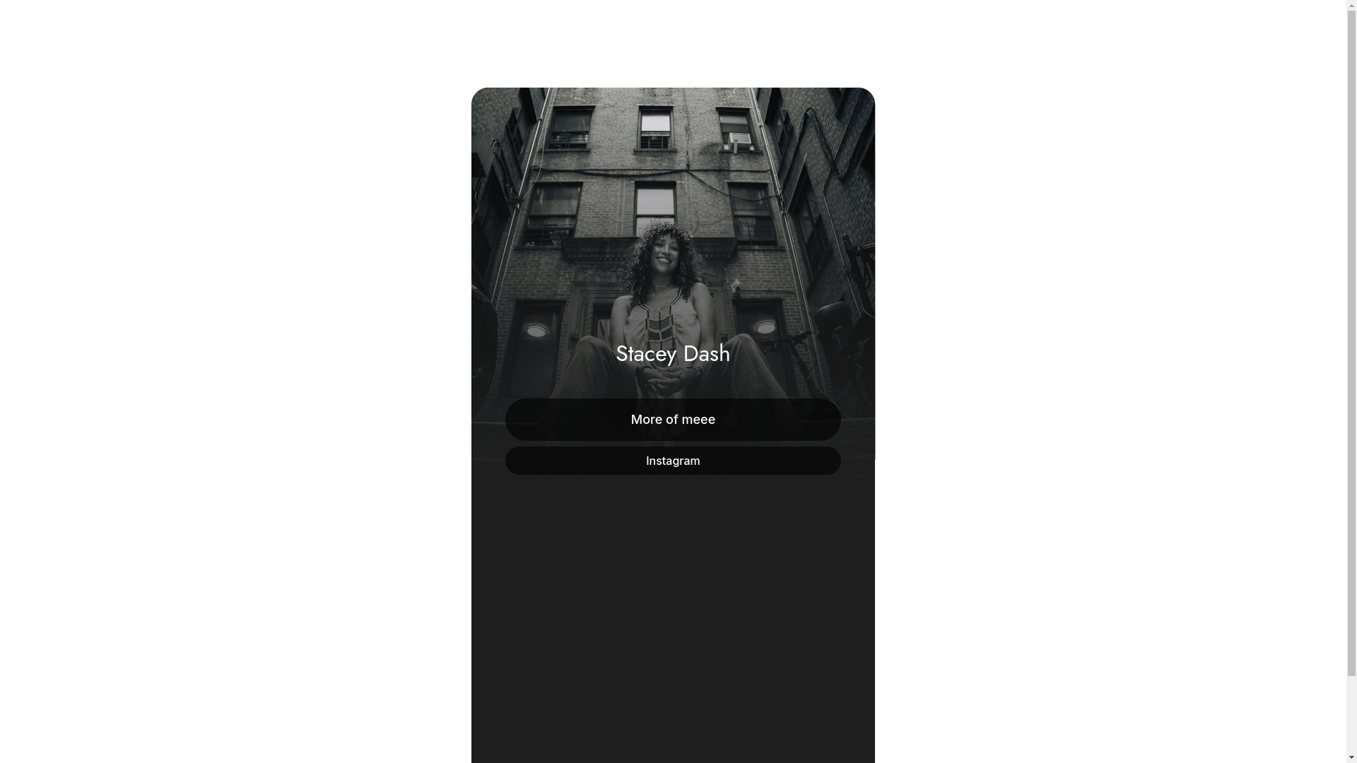website screenshot of https://thestaceydash.com/