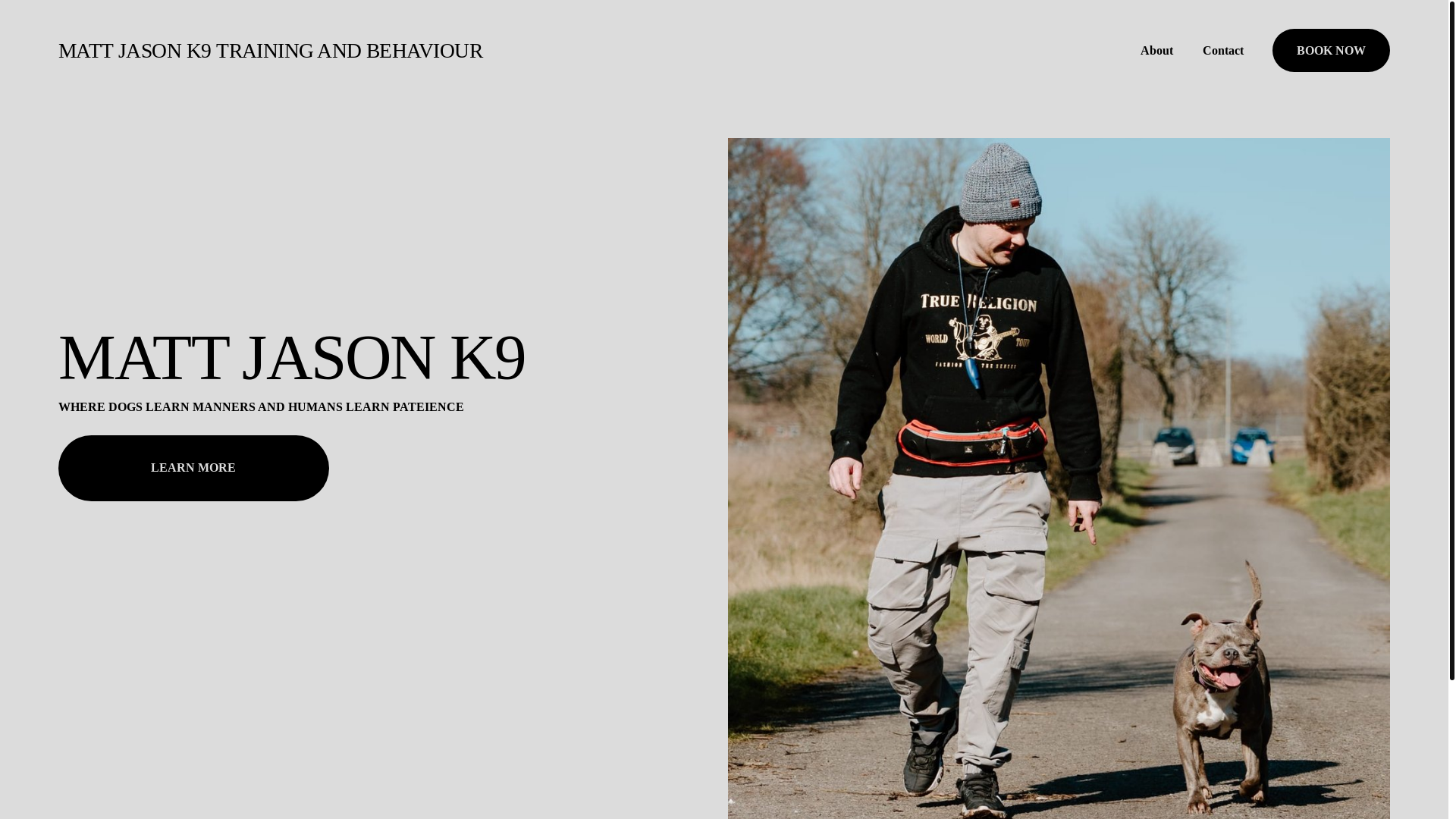 website screenshot of https://mattjasonk9.co.uk/