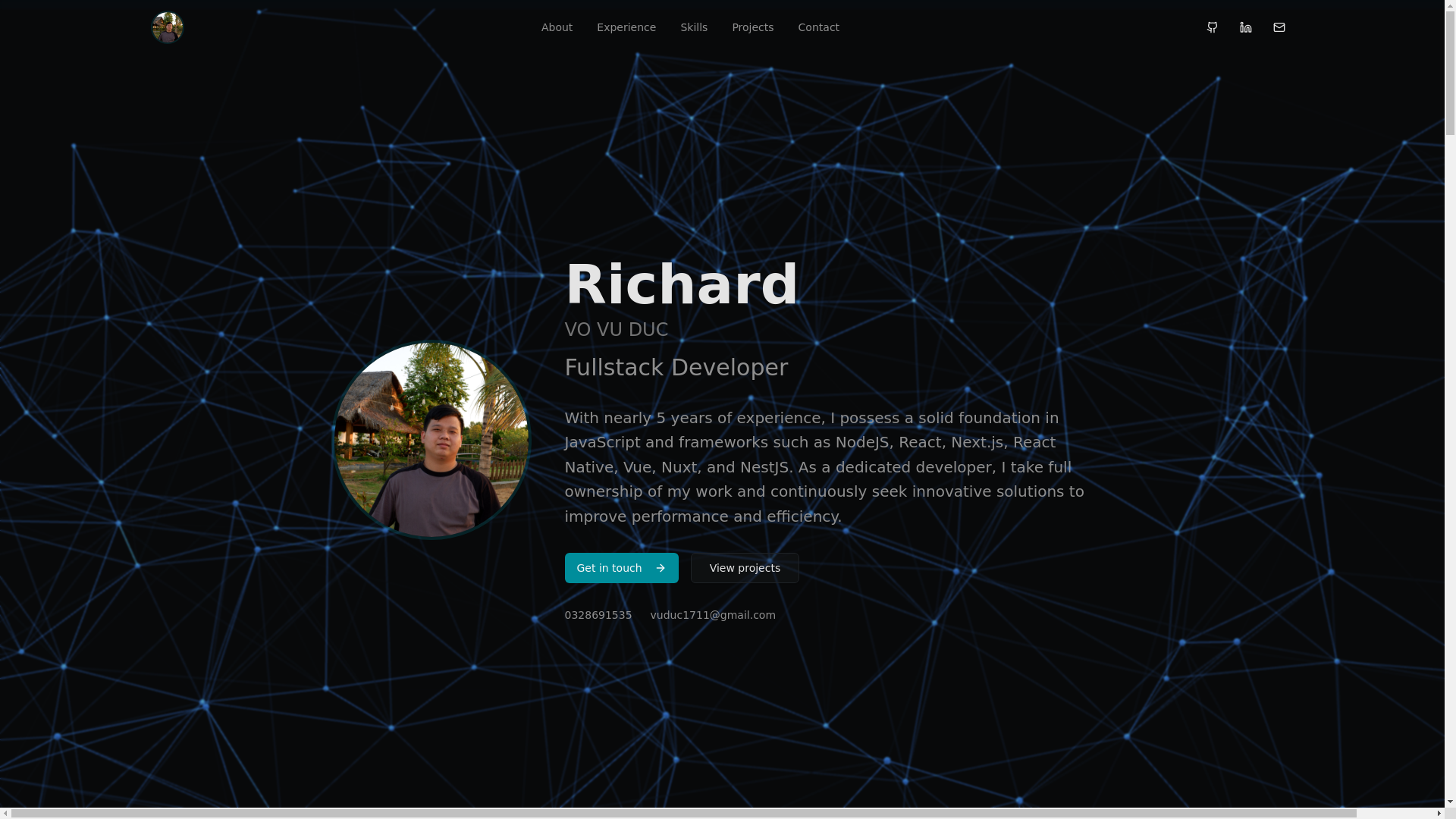 website screenshot of https://richard-vo.com/