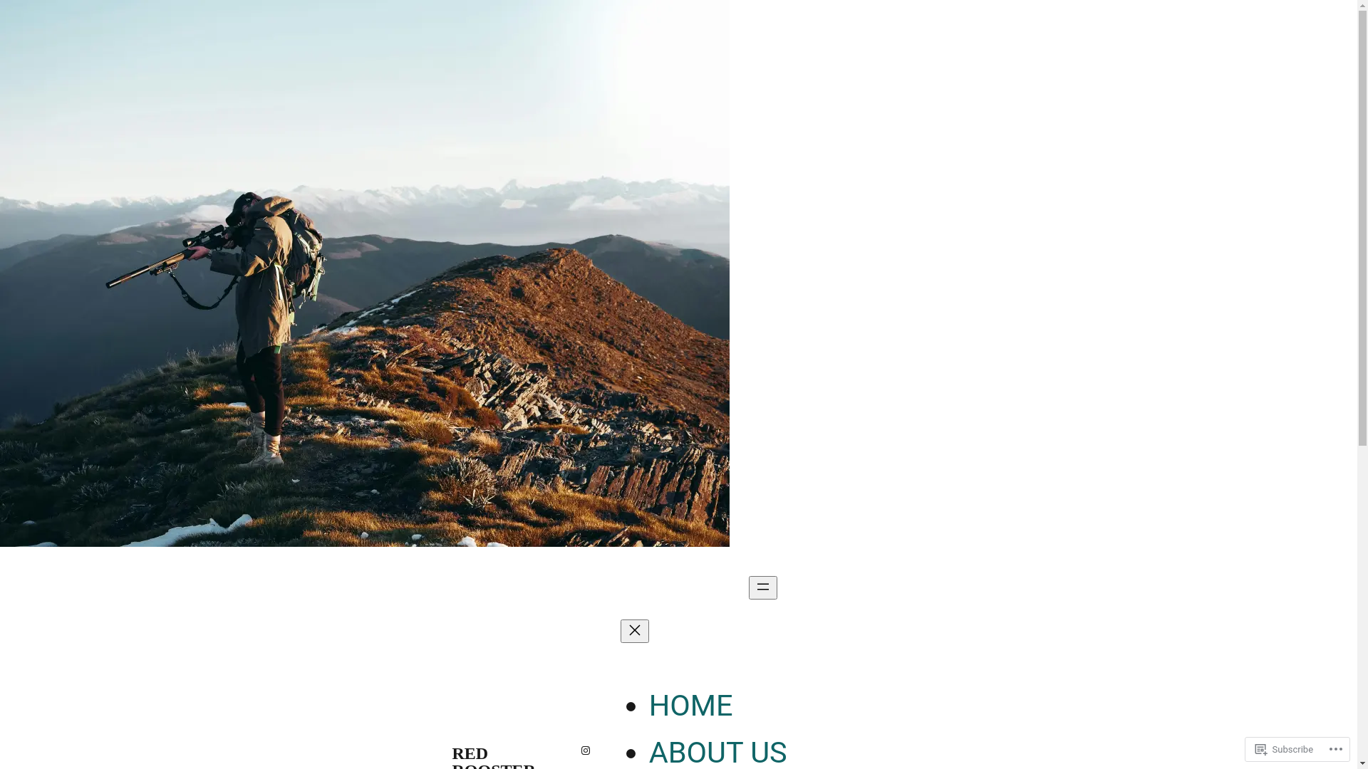 website screenshot of https://redroosterusa.com/