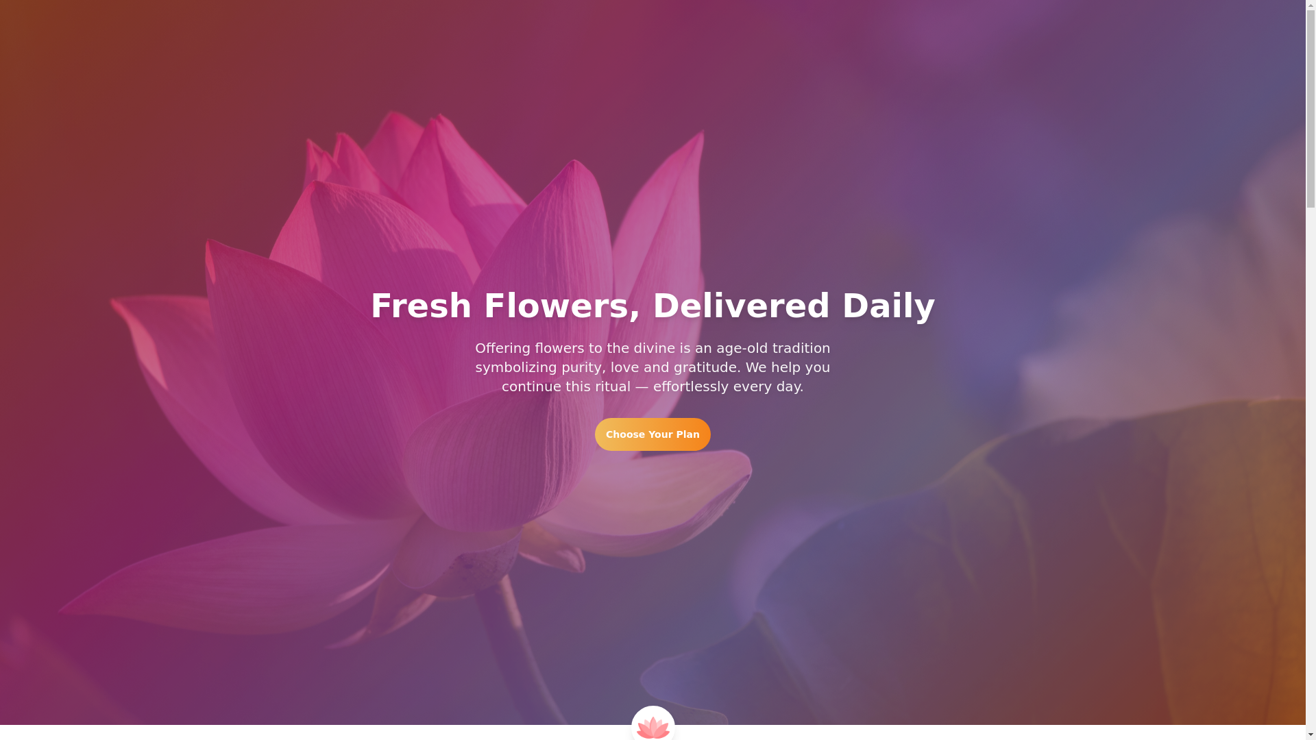 website screenshot of https://fulseva.com/