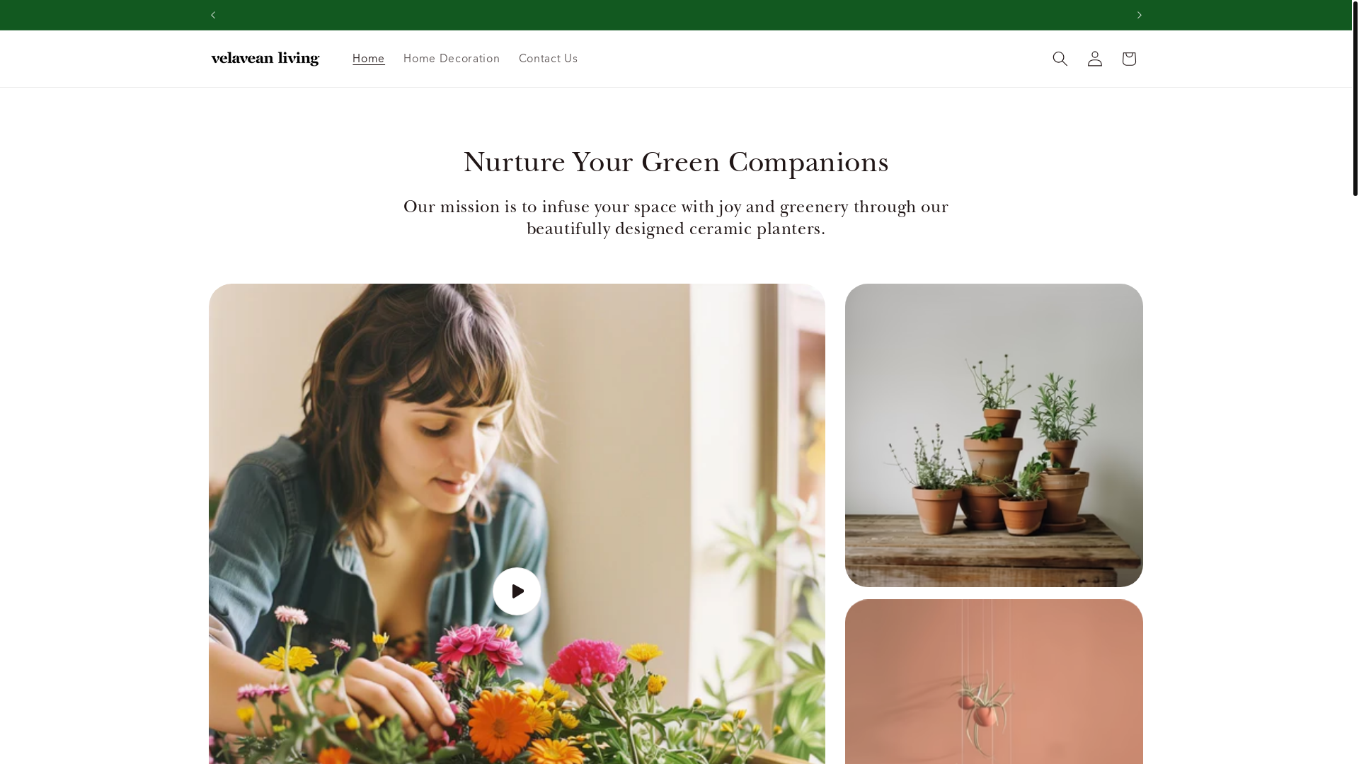 website screenshot of https://velvean.net/