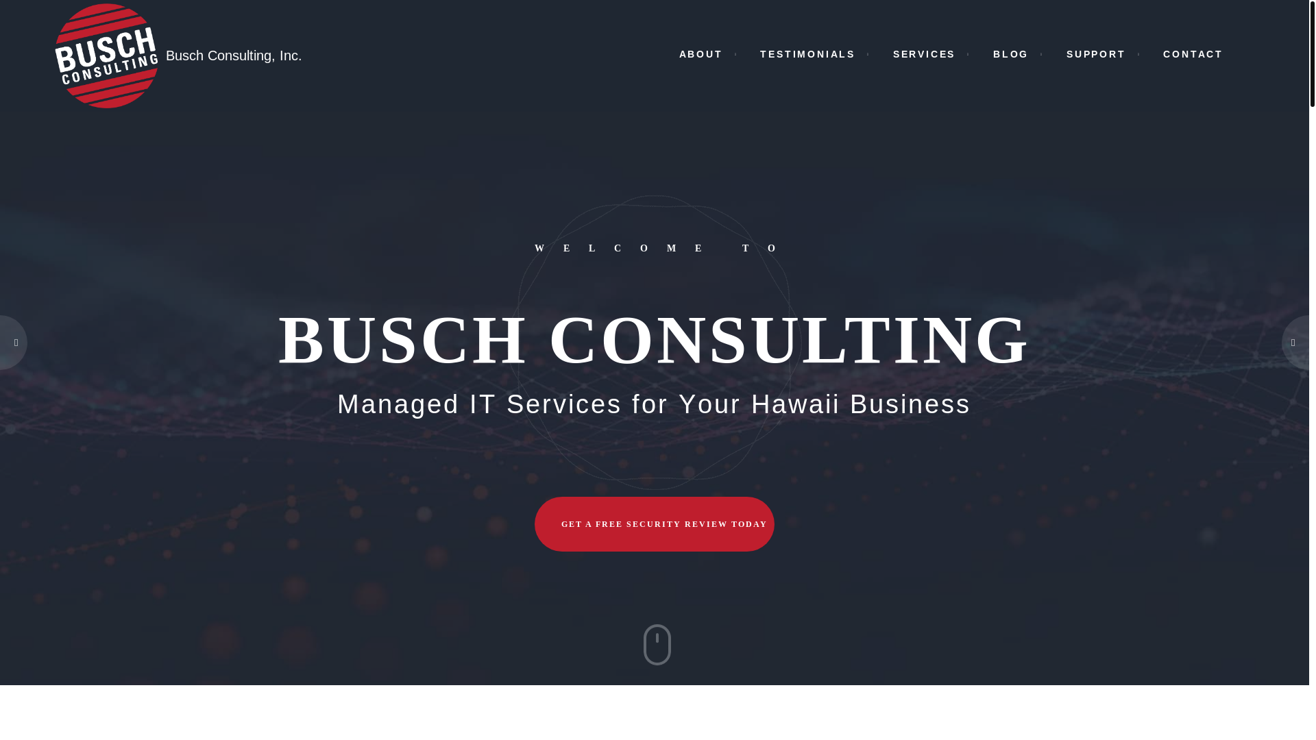website screenshot of https://buschconsulting.pages.dev/