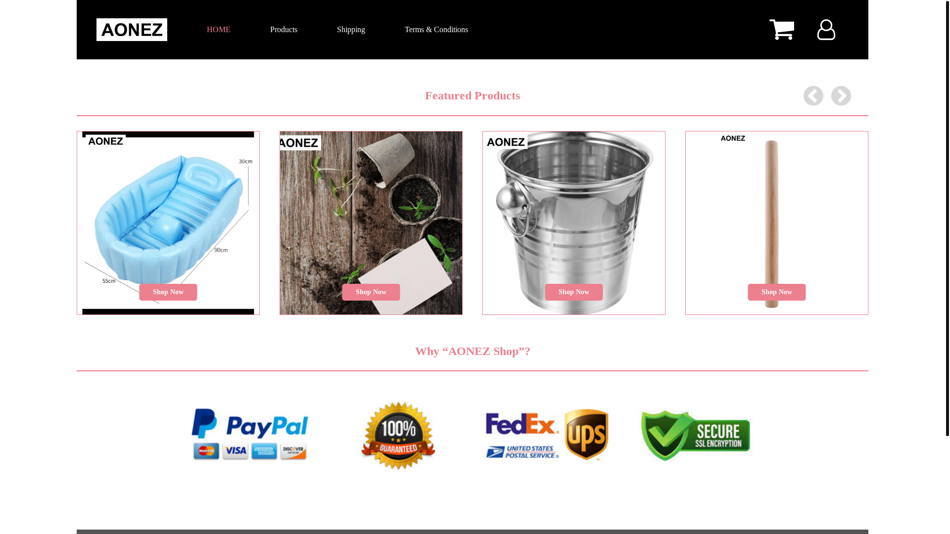 website screenshot of https://aonez-product.shop/