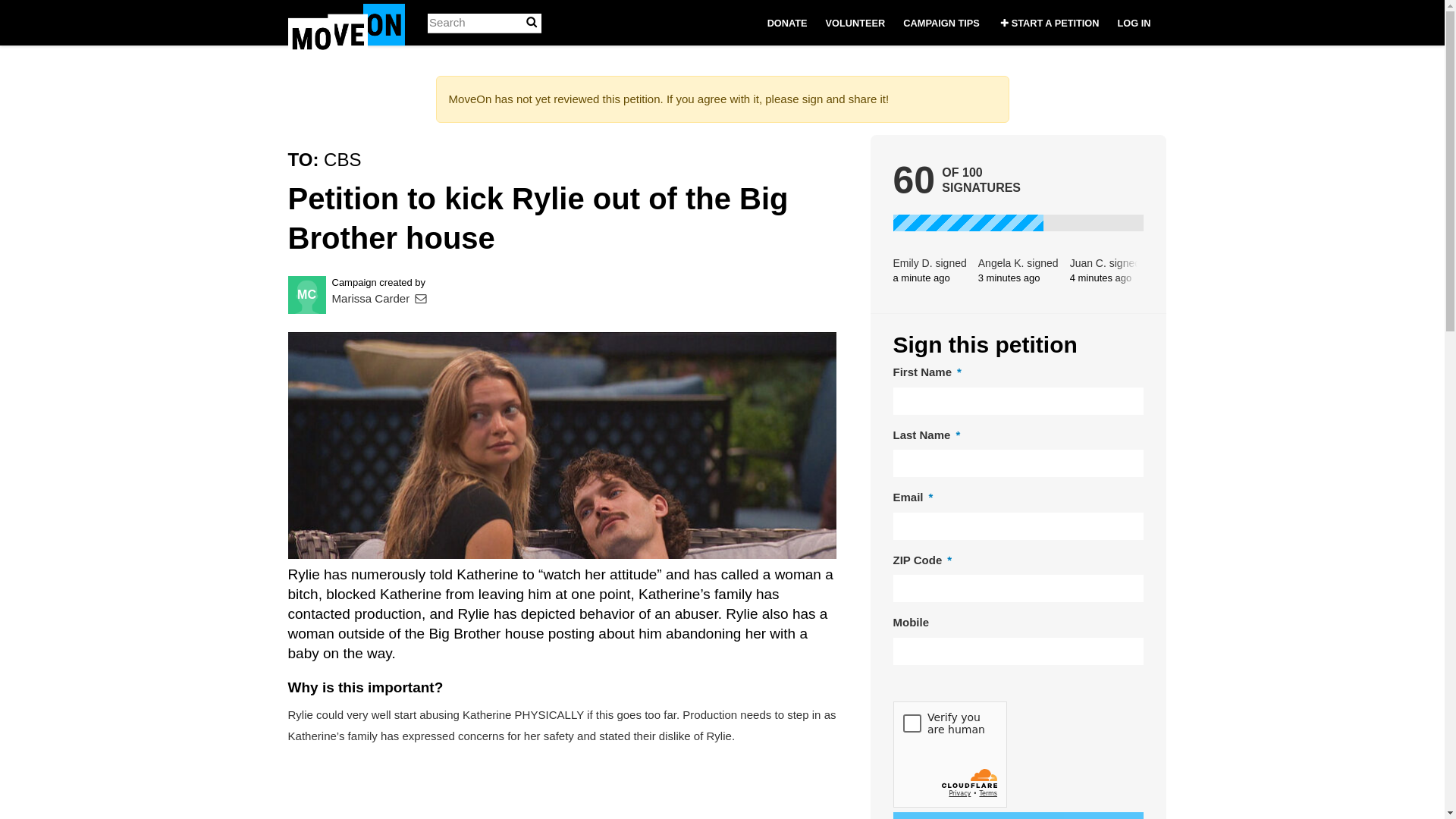 website screenshot of https://removerylie.com/