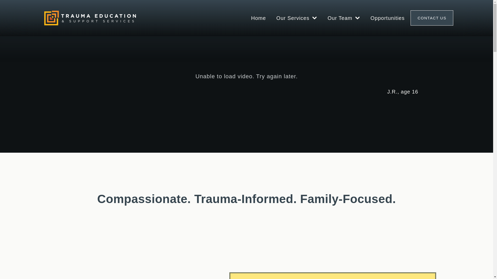 website screenshot of https://tessservices.net/