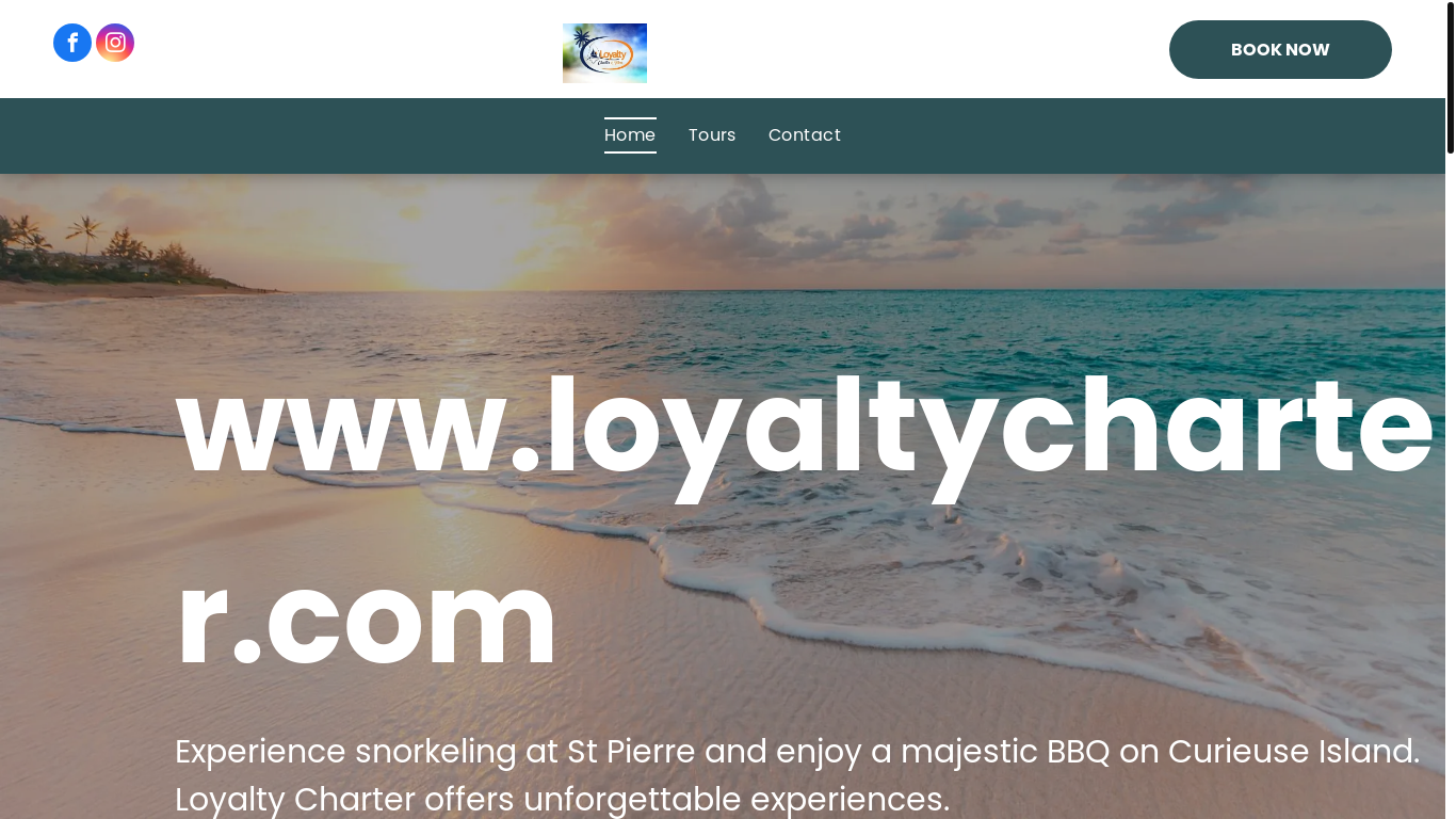 website screenshot of https://loyaltyboatcharter.com/