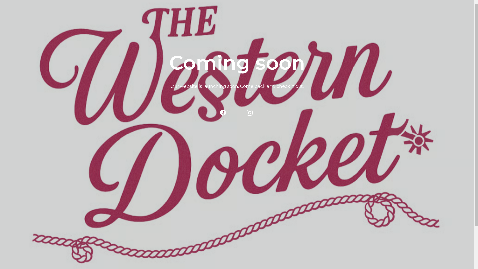 website screenshot of https://thewesterndocket.com/