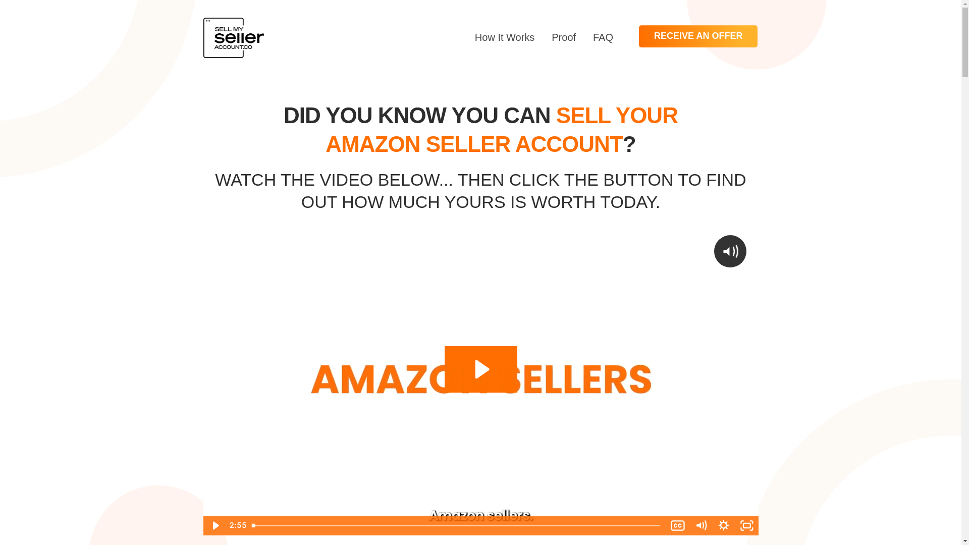 website screenshot of https://sellyoursselleraccount.com/