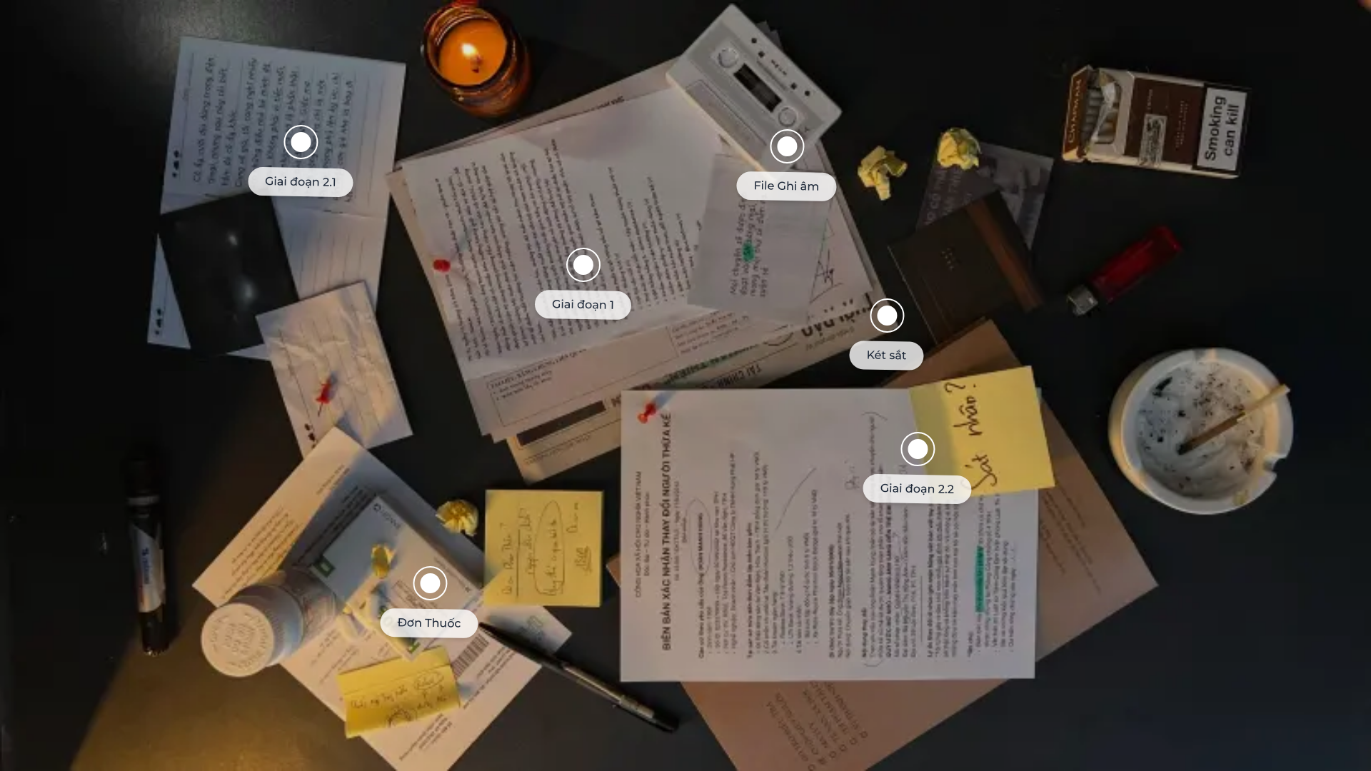 website screenshot of https://trace.net.vn/