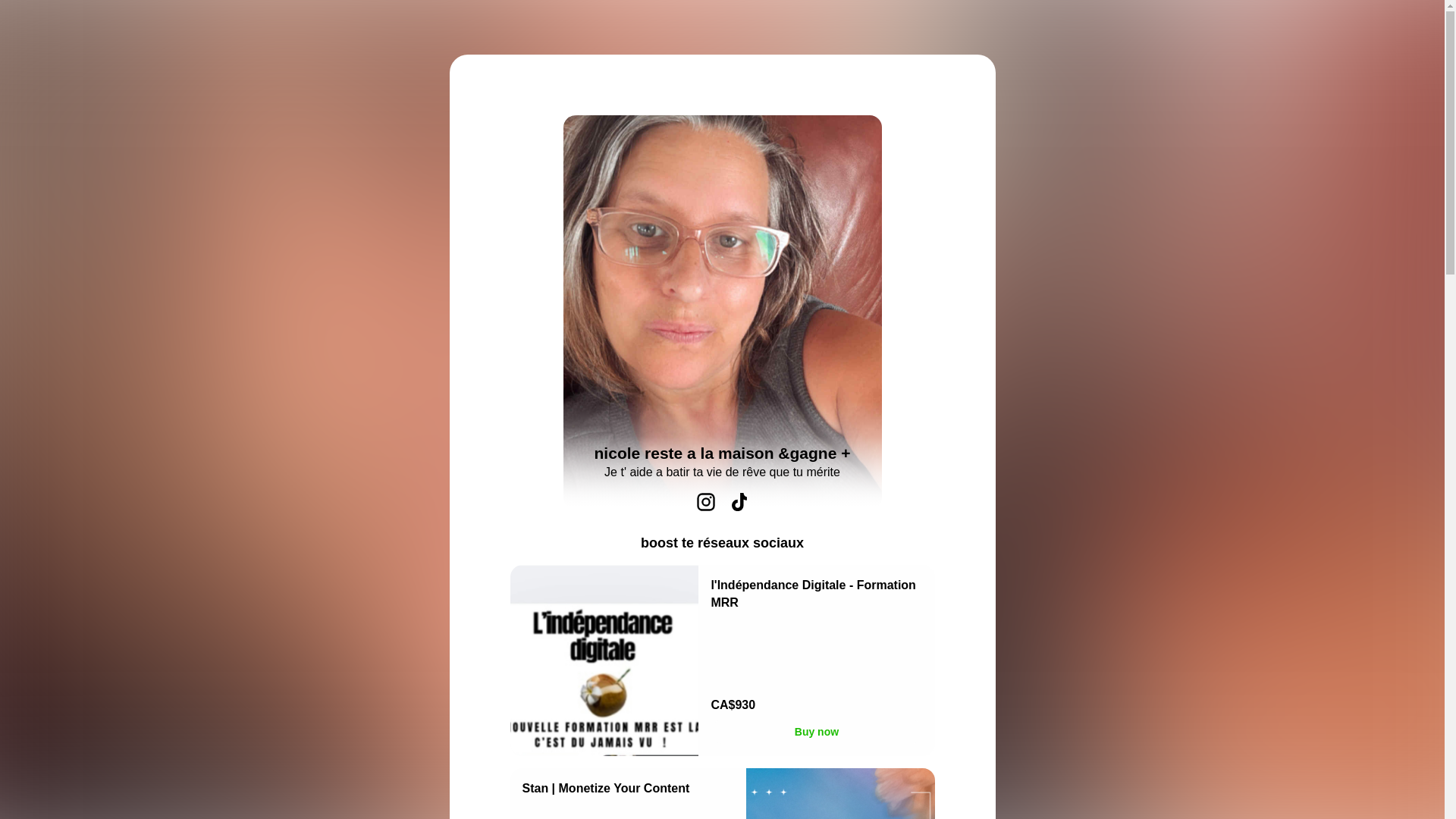 website screenshot of https://nicoletessier.com/