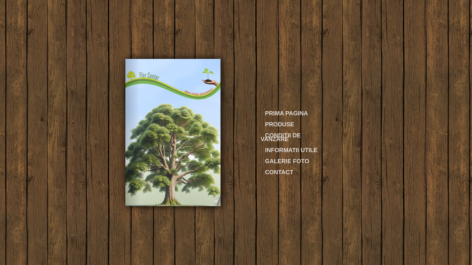website screenshot of https://florcenter.ro/