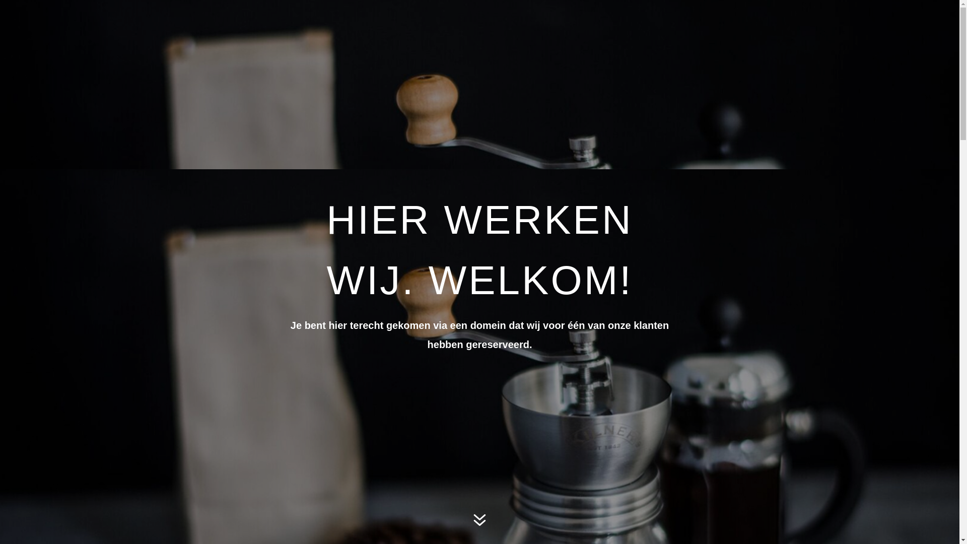 website screenshot of https://phageas.nl/