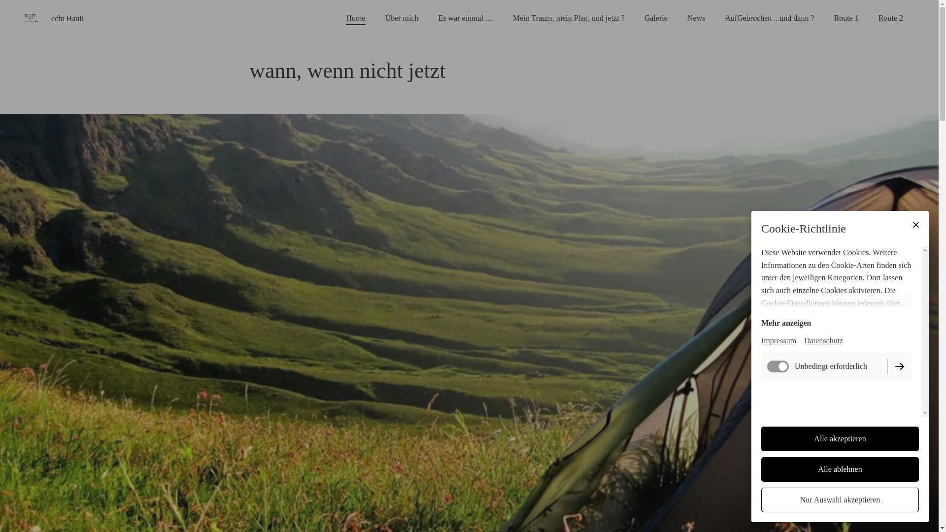 website screenshot of https://echthauii.de/
