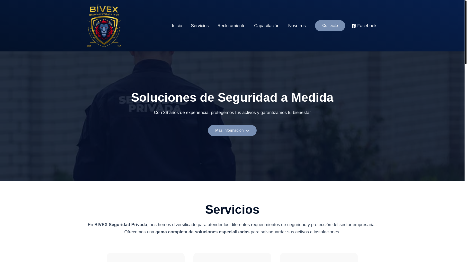website screenshot of https://bivexmexico.com/