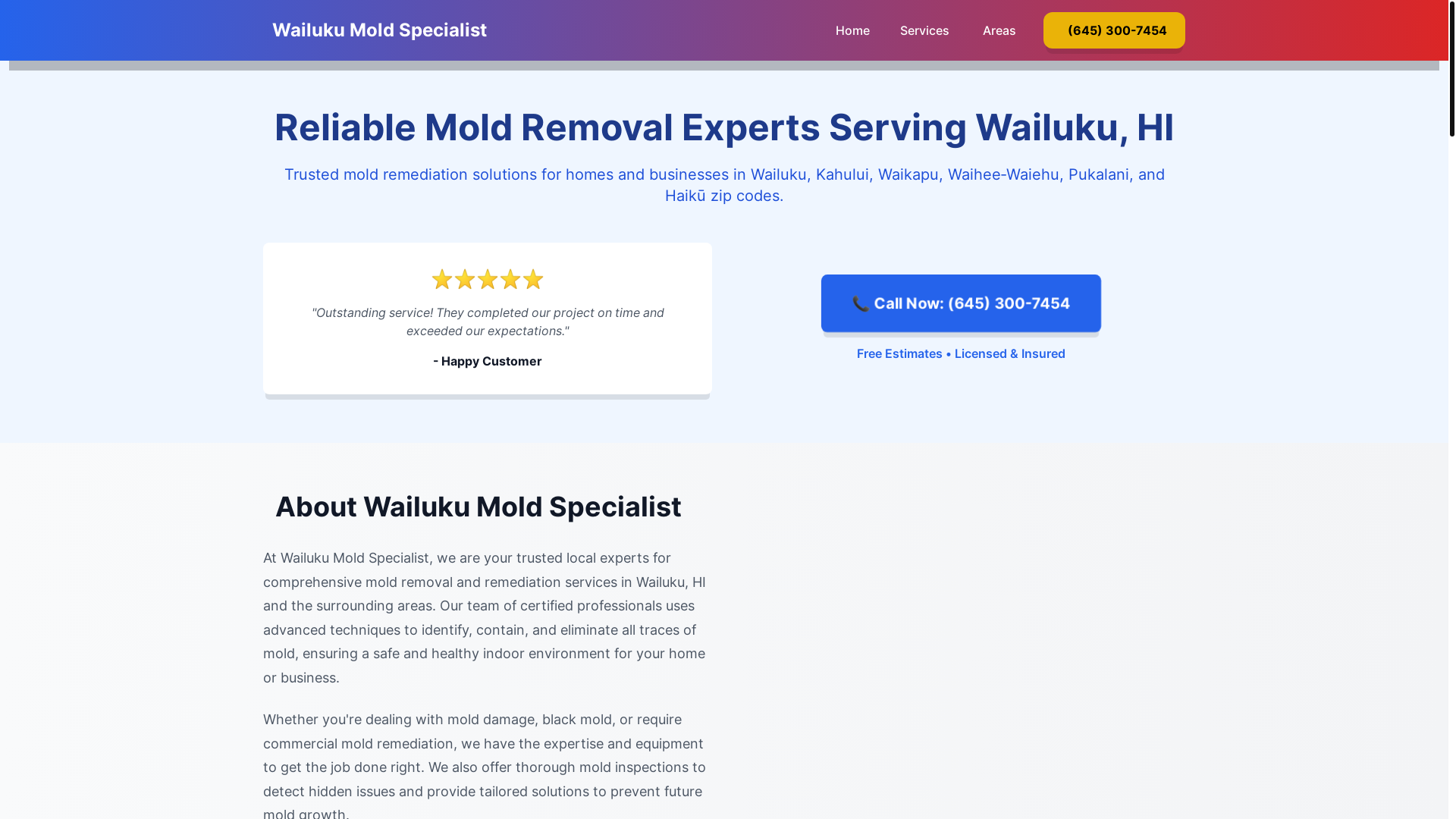 website screenshot of https://mold-inspection-wailuku-hi.pages.dev/