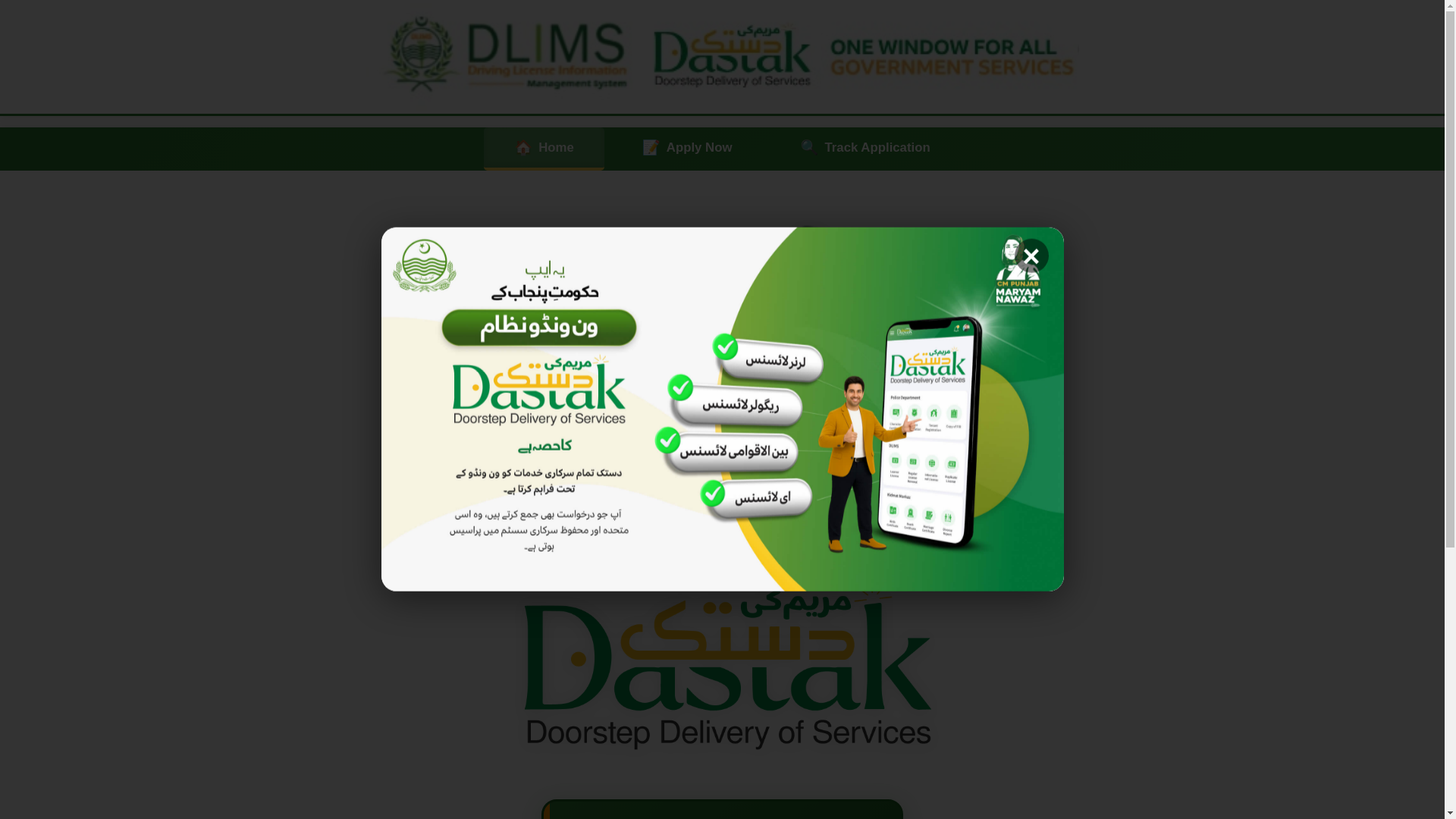 website screenshot of https://dlimsapply.online/