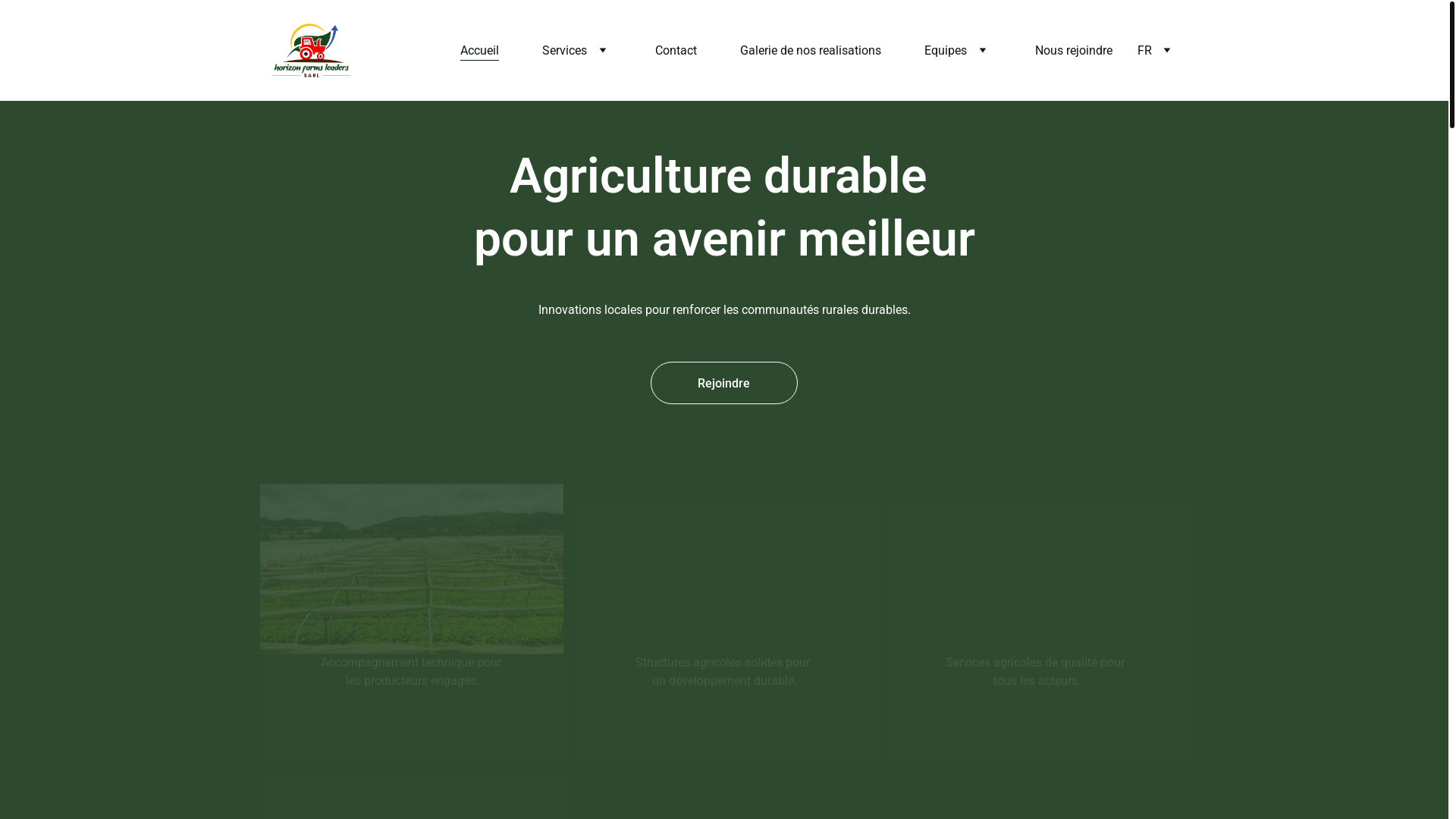 website screenshot of https://horizonfarms-leaders.com/
